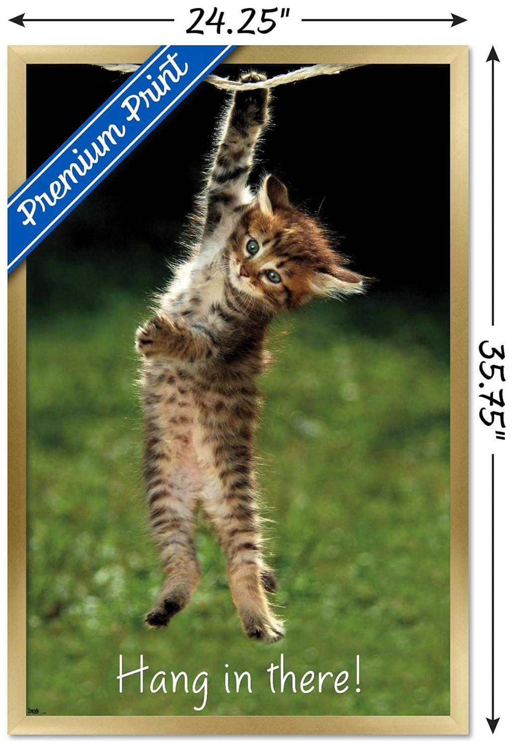 Famous Kitten Hang In There Poster Wall Poster, 22.375" x 34", Framed
