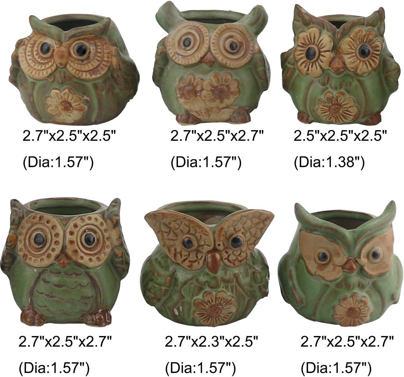 Ogrmar 6Pack Owl Plant Window Boxes Cute Owl Flower Pot/Modern Ceramic Succulent Planter Pots/Tiny Flower Plant Containers Animal Decor