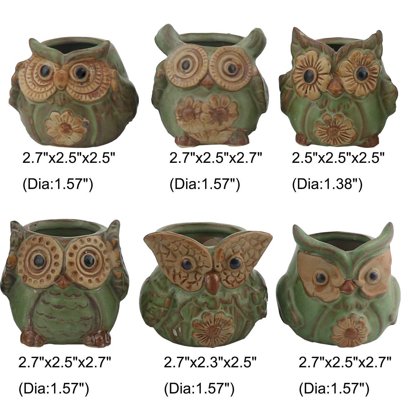 Ogrmar 6Pack Owl Plant Window Boxes Cute Owl Flower Pot/Modern Ceramic Succulent Planter Pots/Tiny Flower Plant Containers Animal Decor