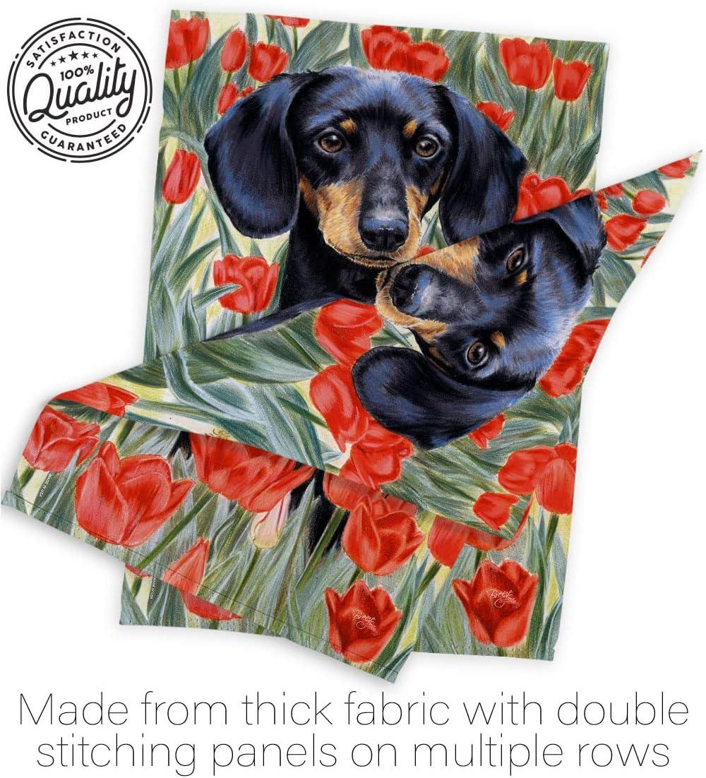 Breeze Decor Double Sided 40.00'' H x 28.00'' W Polyester Flag Set