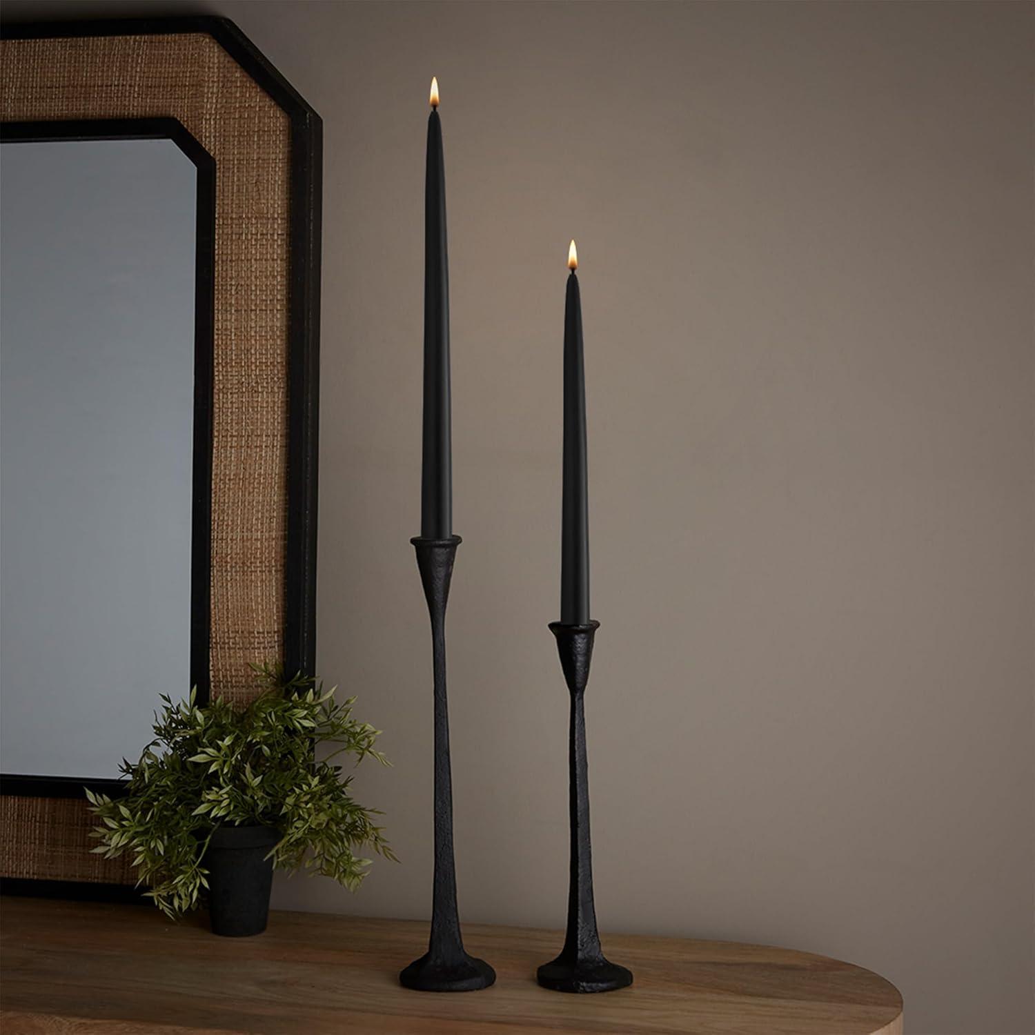 Root Candles 12 Piece Unscented Taper Candle Set & Reviews | AllModern