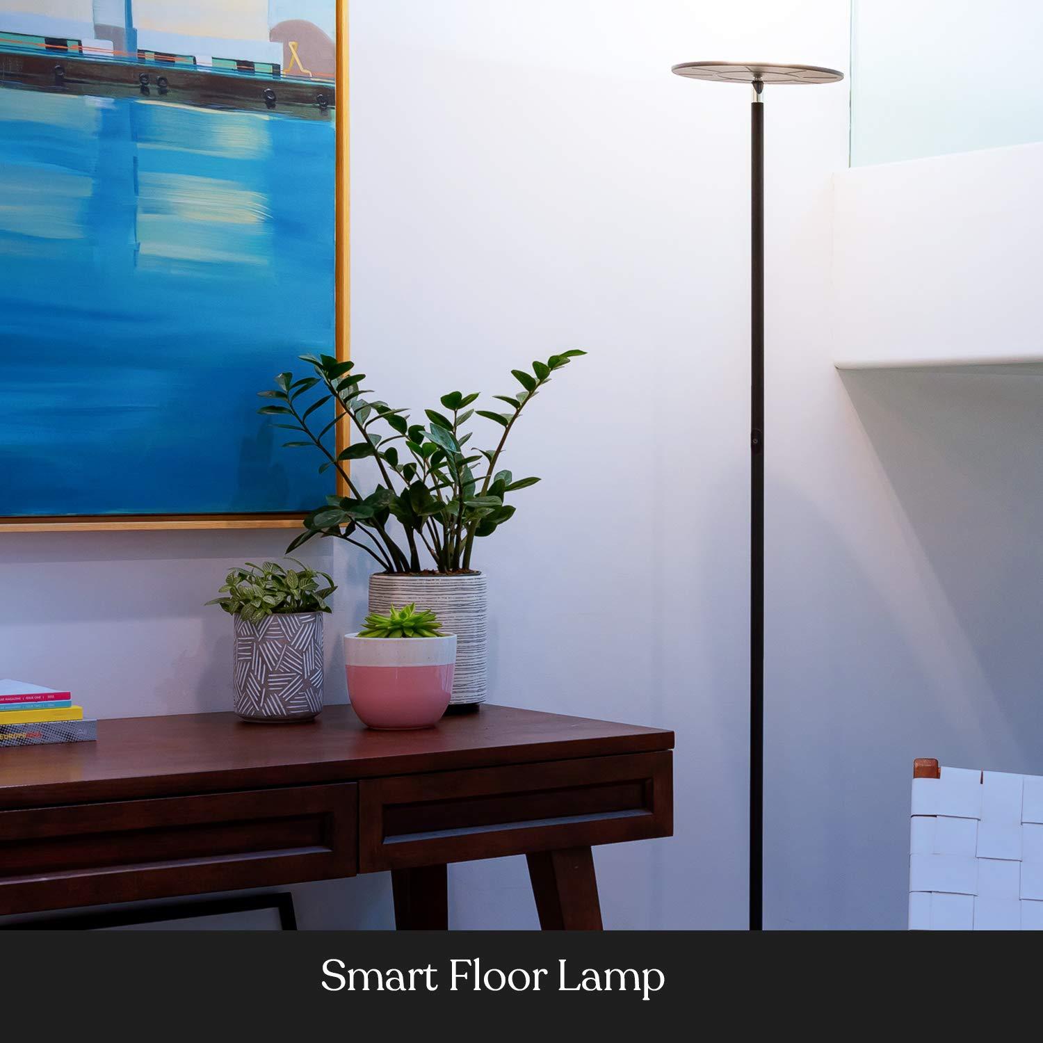 Brightech Sky Colors 69 in. RGB Modern LED Floor Lamp