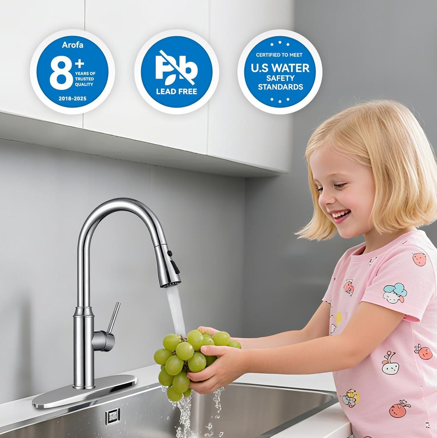 GAGALIFE Single Handle Pull Down Sprayer Kitchen Faucet High Arc Stainless Steel Faucet with 3-Function Sprayer JJL-CL-PT-SDP-C