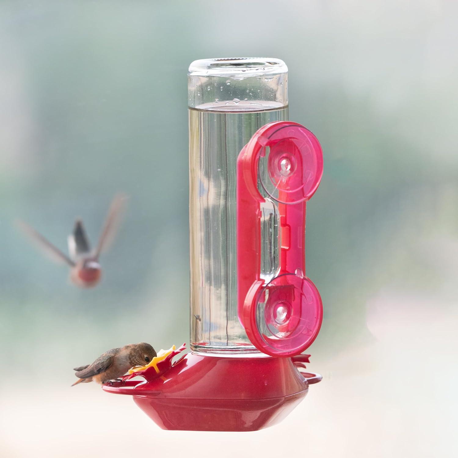 Perky-Pet 455-2 Mounted 445-2 Glass Window Hummingbird Feeder, Red – 14 oz