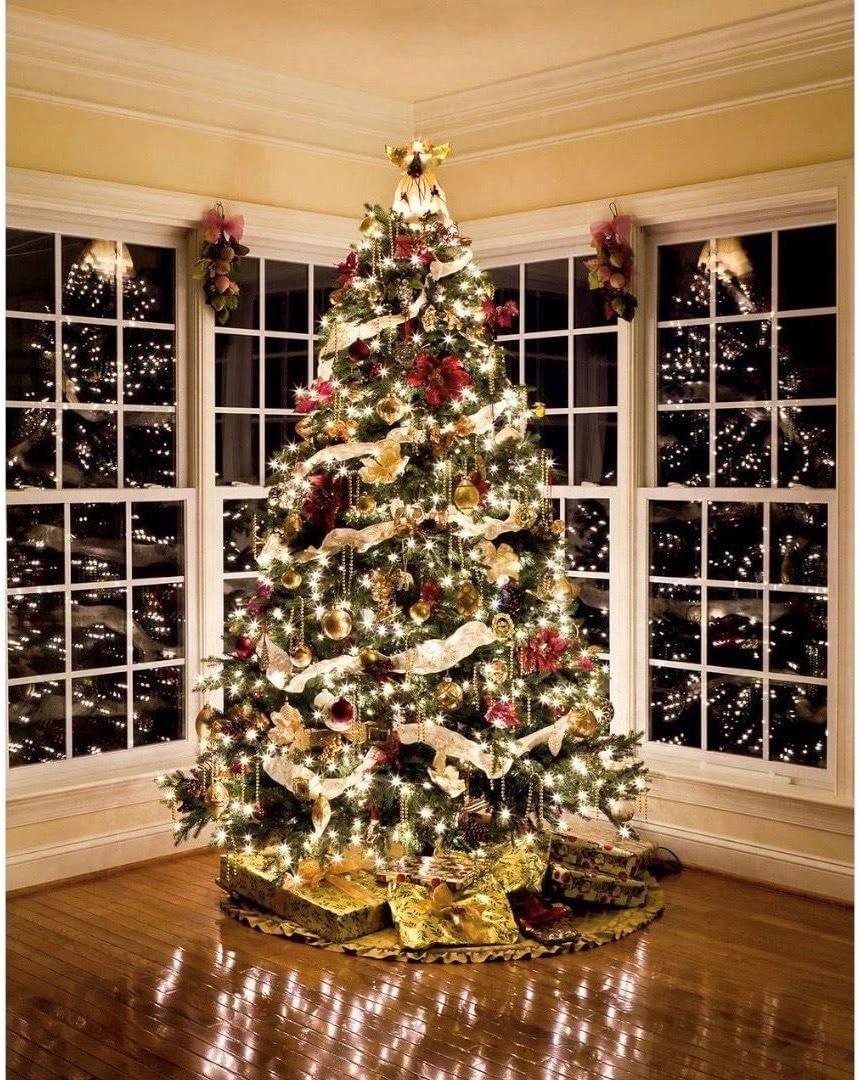 Novelty Lights 11 Feet 50 Bulbs Incandescent Mini Lights, Green on Green Wire with 2.5" Spacing, UL Listed for Indoor/Outdoor Use, Connectable