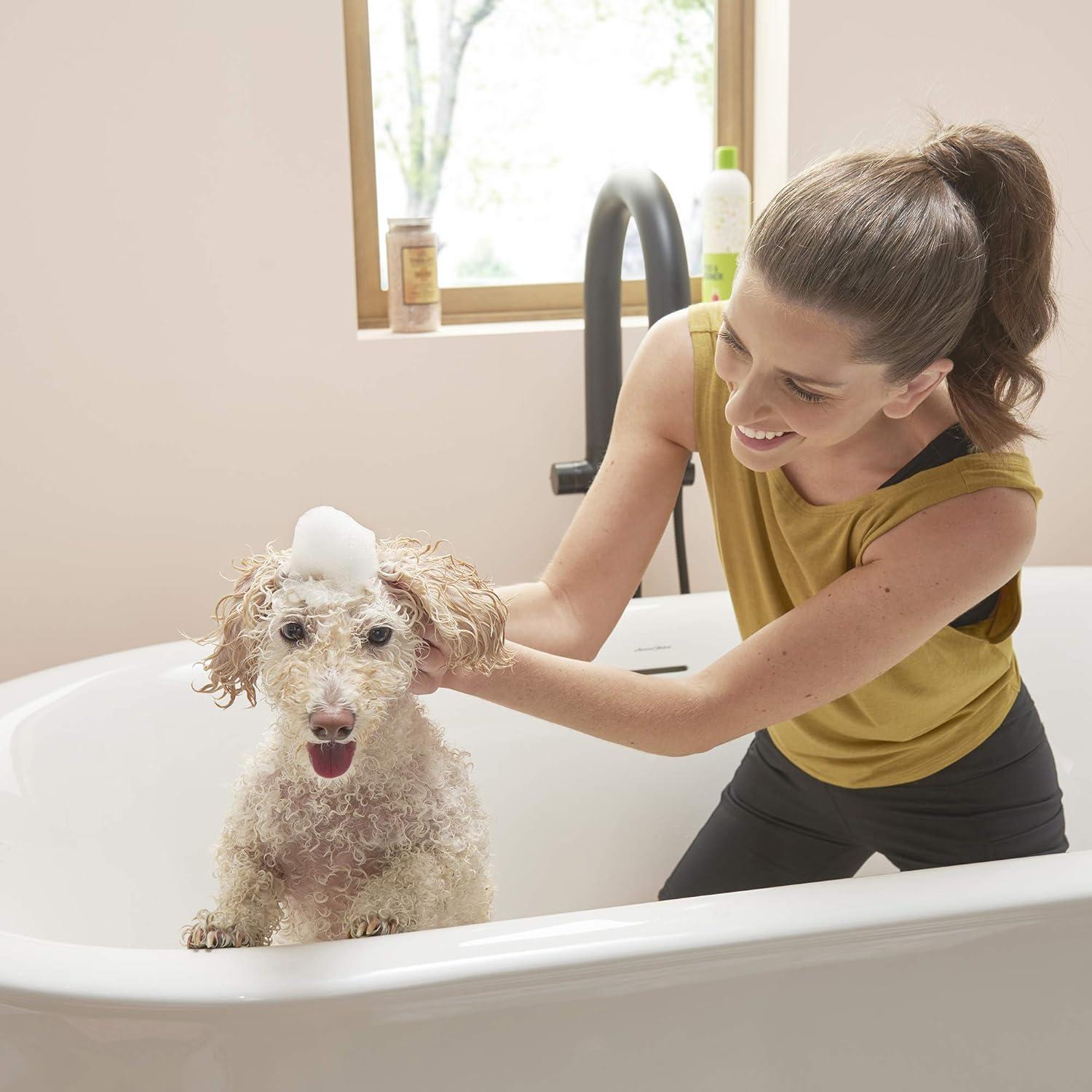 1 Handle Floor Tub Filler with Diverter