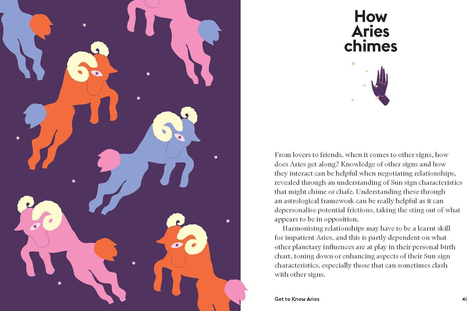 Aries - (Hg Seeing Stars) by  Stella Andromeda (Hardcover)