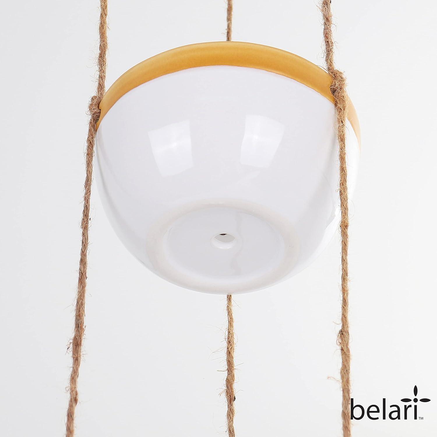 Belari Ceramic Hanging Planter