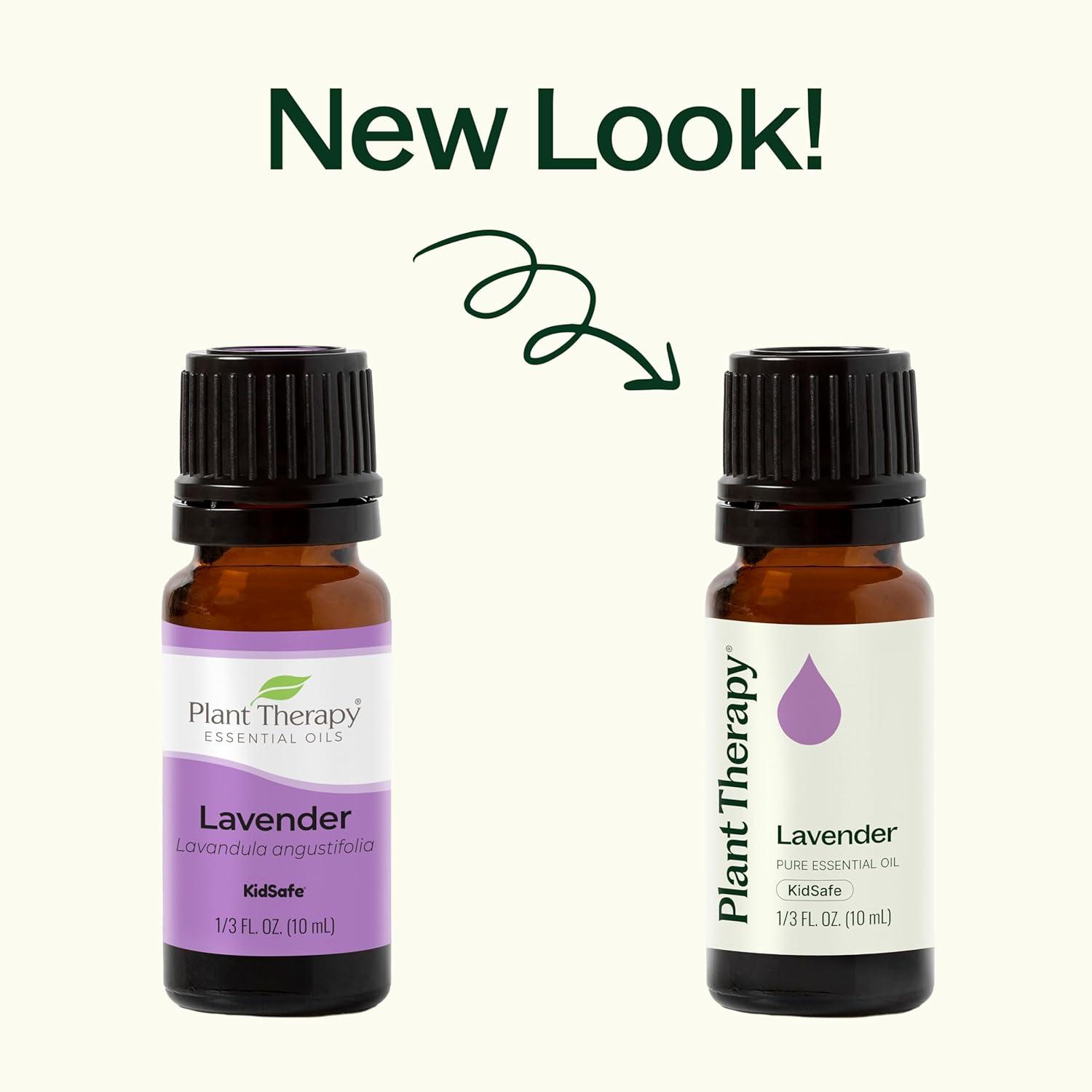 Plant Therapy Lavender Essential Oil 100% Pure, Undiluted, Therapeutic Grade, Aromatherapy Diffuser for Relaxation and Body Care, Healthy Skin and Hair, 10 mL