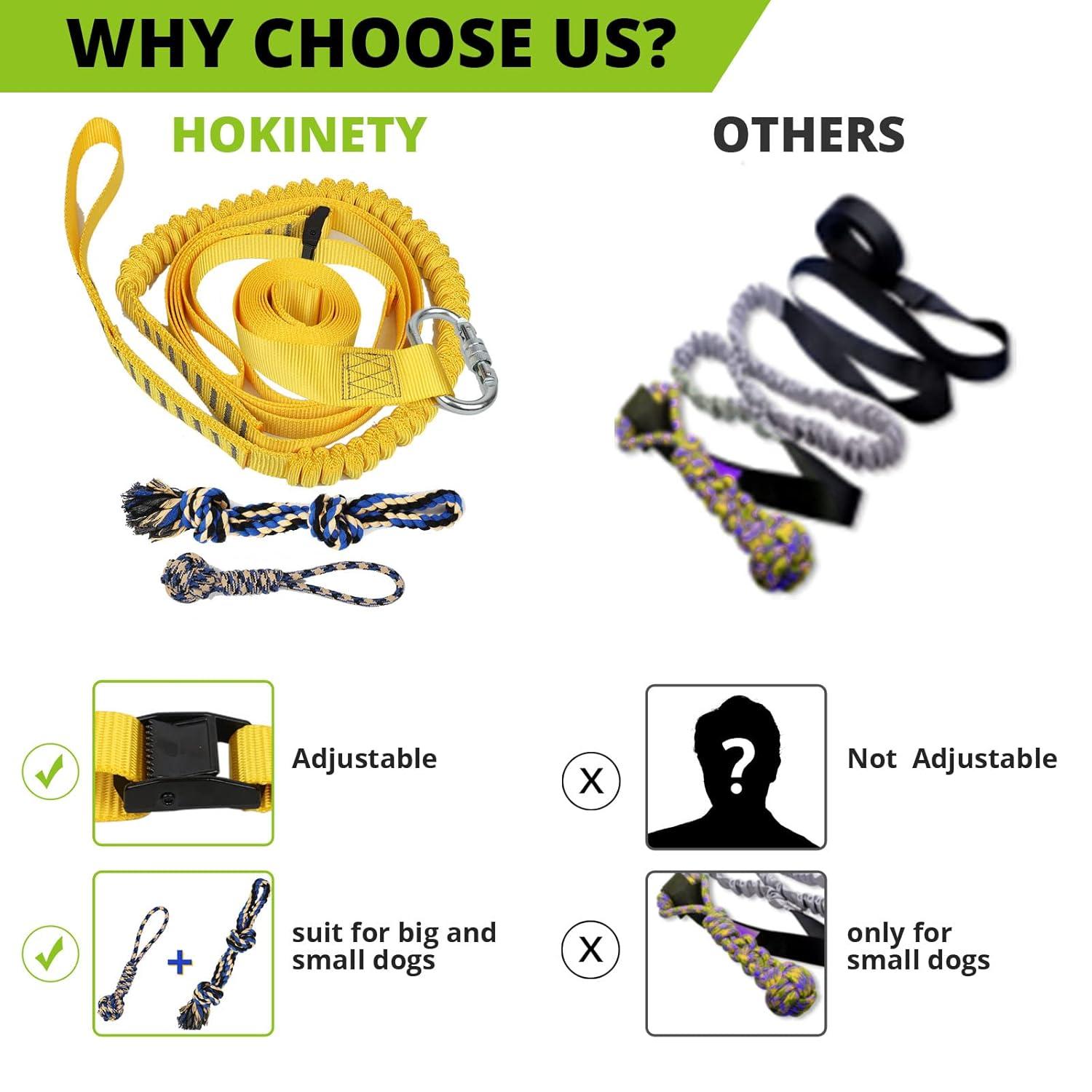 Dog Hanging Bungee Tug Toy: Interactive Tether Tug-of-War for Pitbull Small to Large Dogs to Exercise and Fun Solo Play - Durable Retractable Tugger Dog Rope Toy with 2 Chew Rope Toys