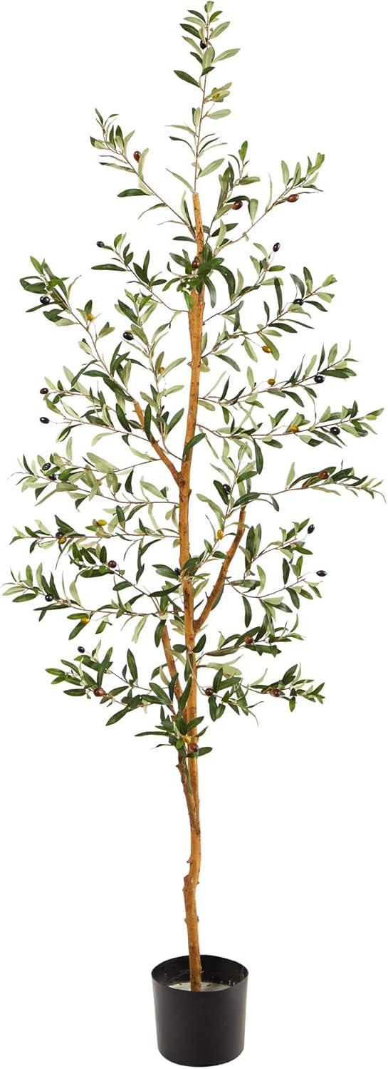 Elegant 5.5' Mediterranean Olive Silk Tree with Black Pot