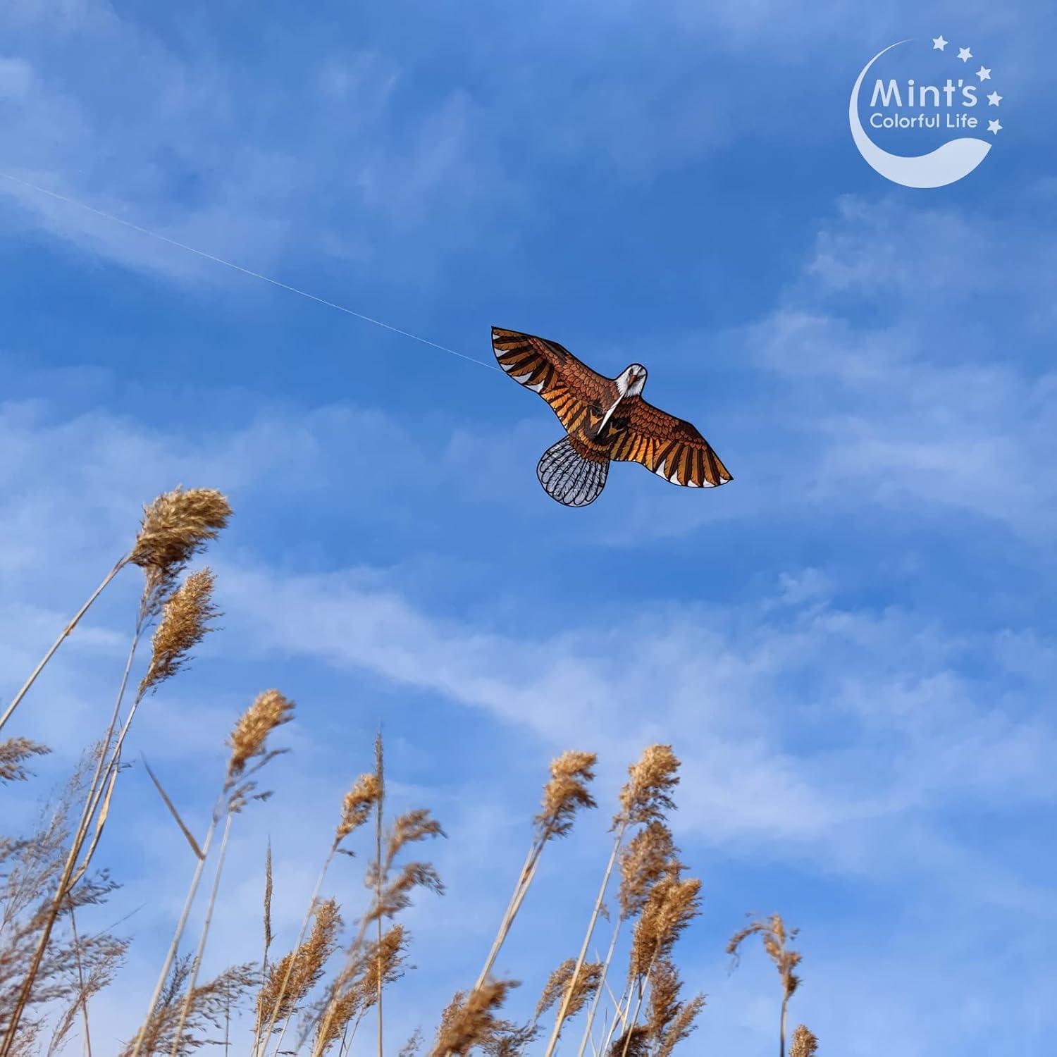 Mint s Colorful Life Eagle Kite for Kids Adults with 60 Wingspan