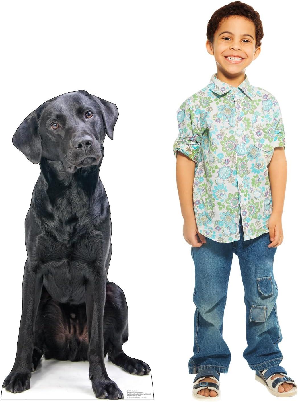 40 x 19 in. Black Labrador Life-Size Cardboard Cutout