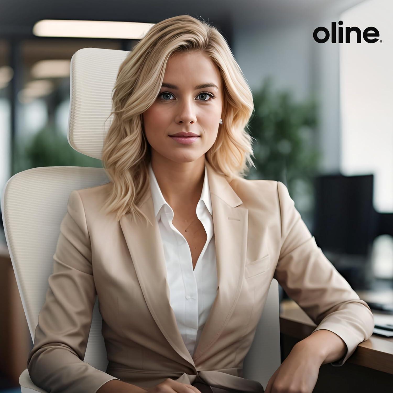 Oline Oline ErgoAir Ergonomic Office Chair – Adjustable Lumbar Support, Flip-Up Armrests, Mesh Computer Desk Chair, Swivel Rolling Executive Gaming Chair for Home & Office