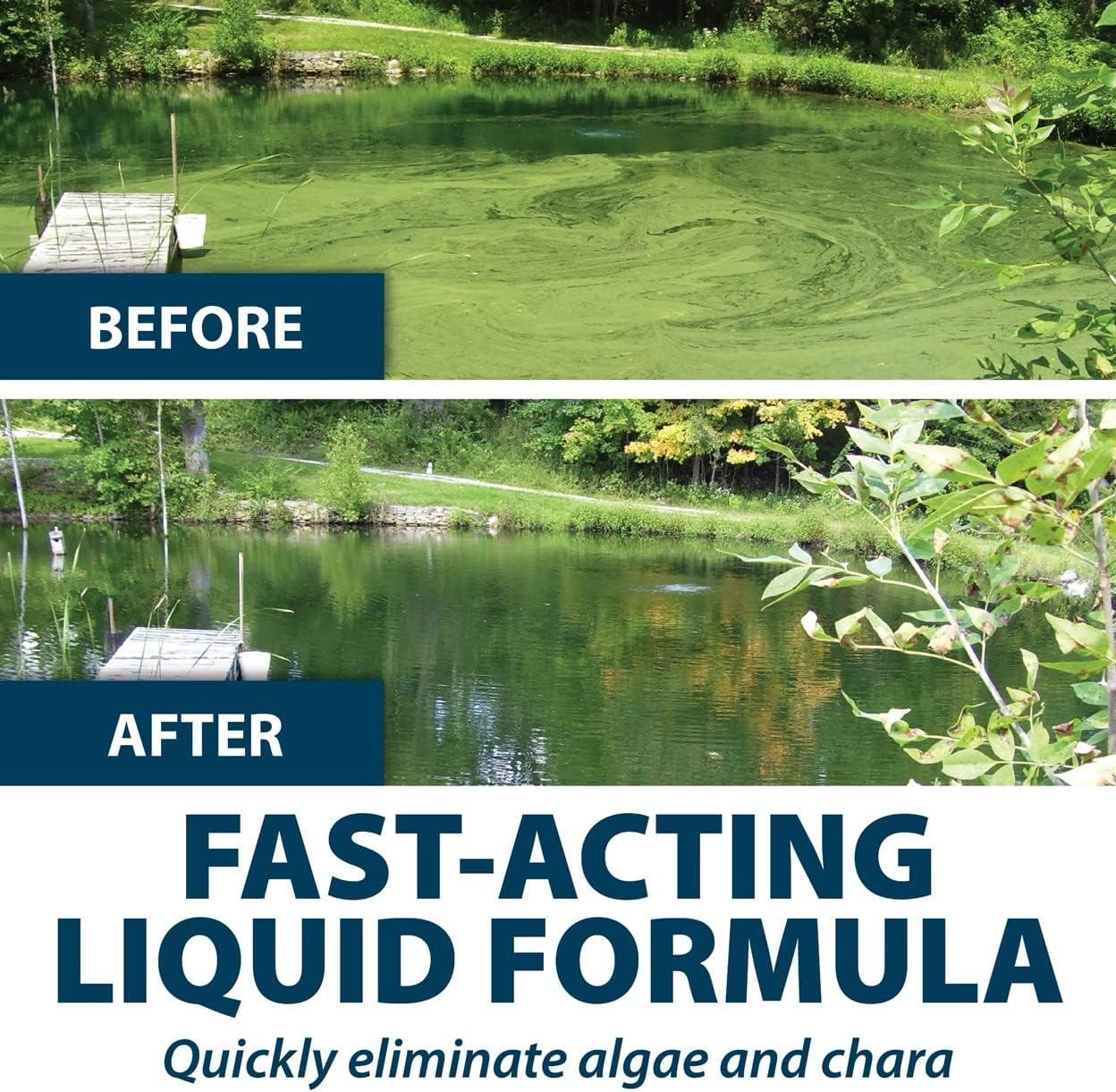 Airmax Algae Defense Pond Algae Control Treatment, For Clearer Pond Water, EPA Registered Algaecide Water Treatment, Safe for Use in Ponds Containing Fish and Plants, Treats 8000 sq ft, 1 Gallon