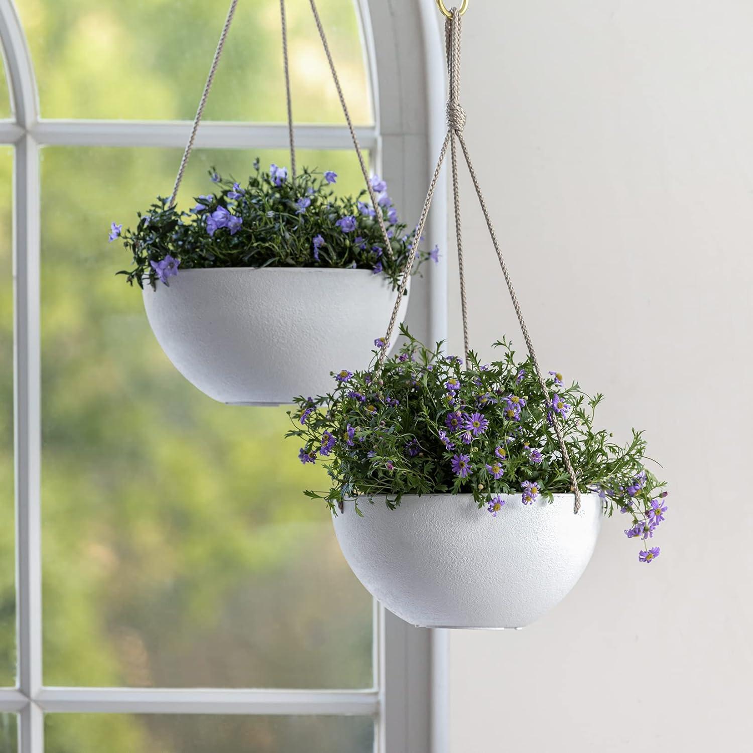 Boxdale Hanging Planter - Set of 2 (Set of 2)