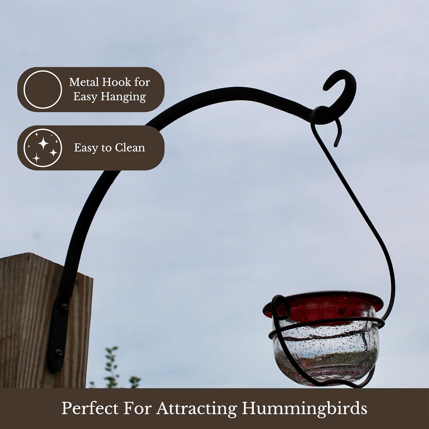 Backyard Essentials Clear Bubble Glass Hanging Hummingbird Feeder - 6 oz