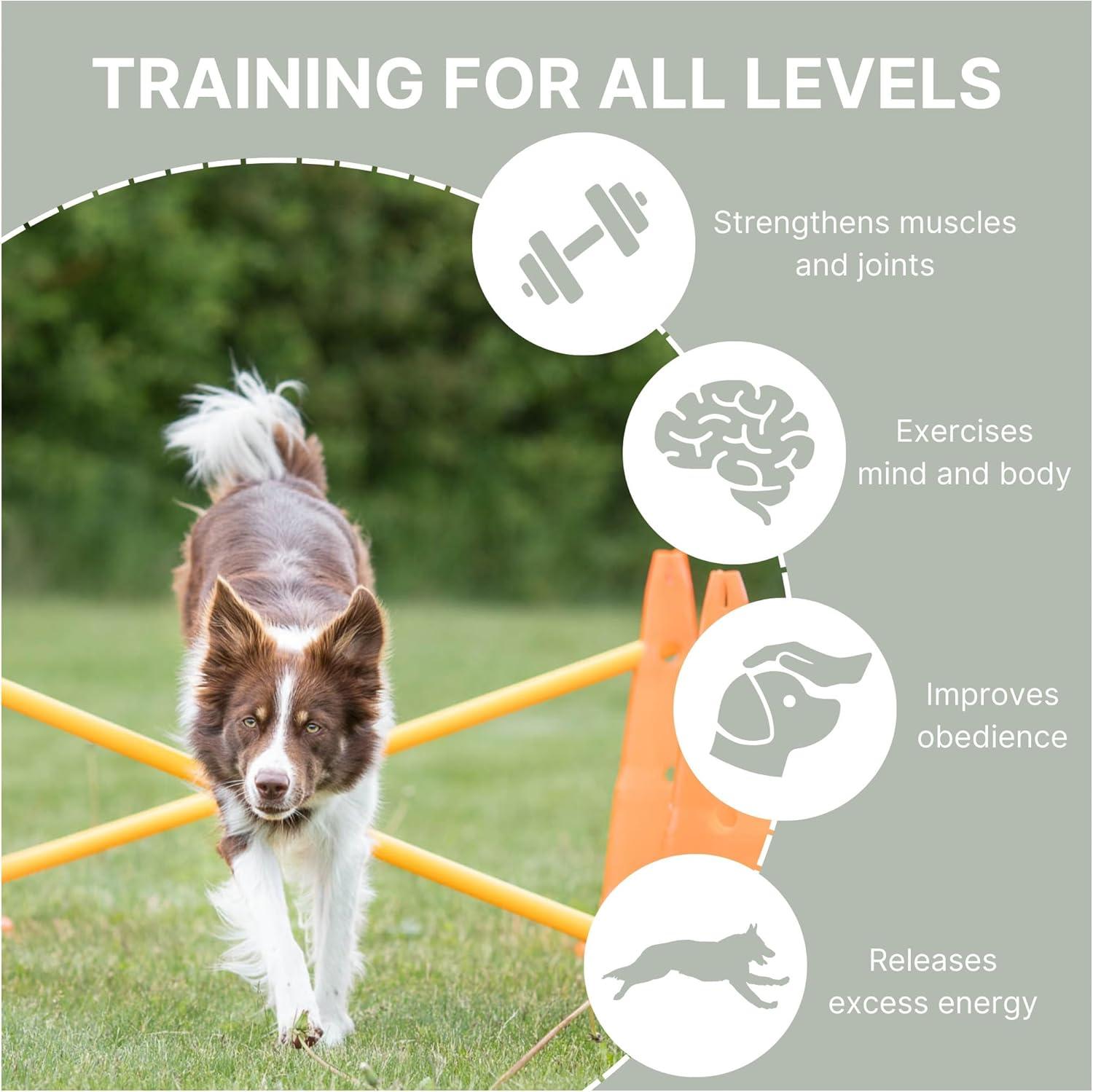TRIXIE TRIXIE Dog Agility Hurdle Cone Set, Portable Canine Agility Training Set