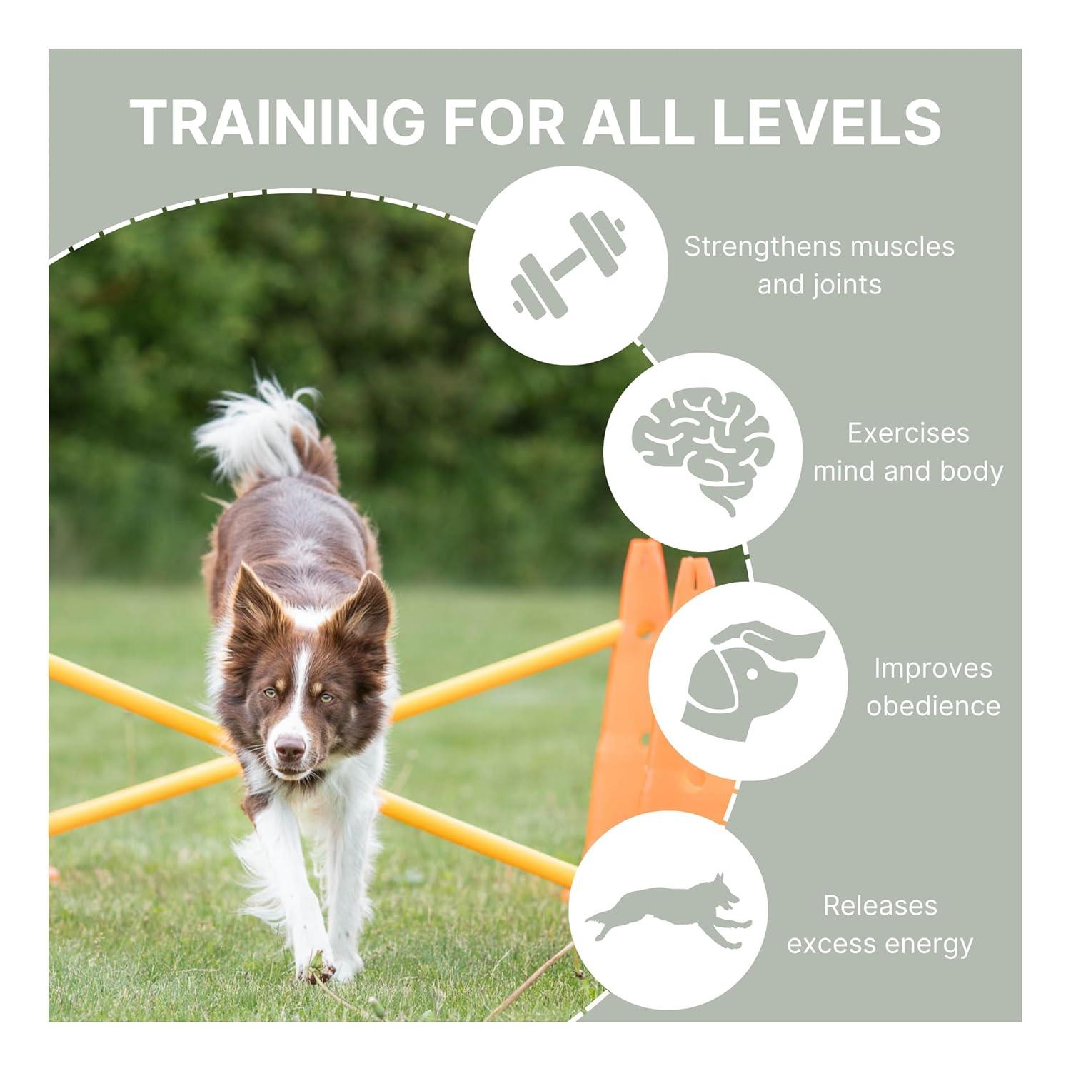 TRIXIE TRIXIE Dog Agility Hurdle Cone Set, Portable Canine Agility Training Set