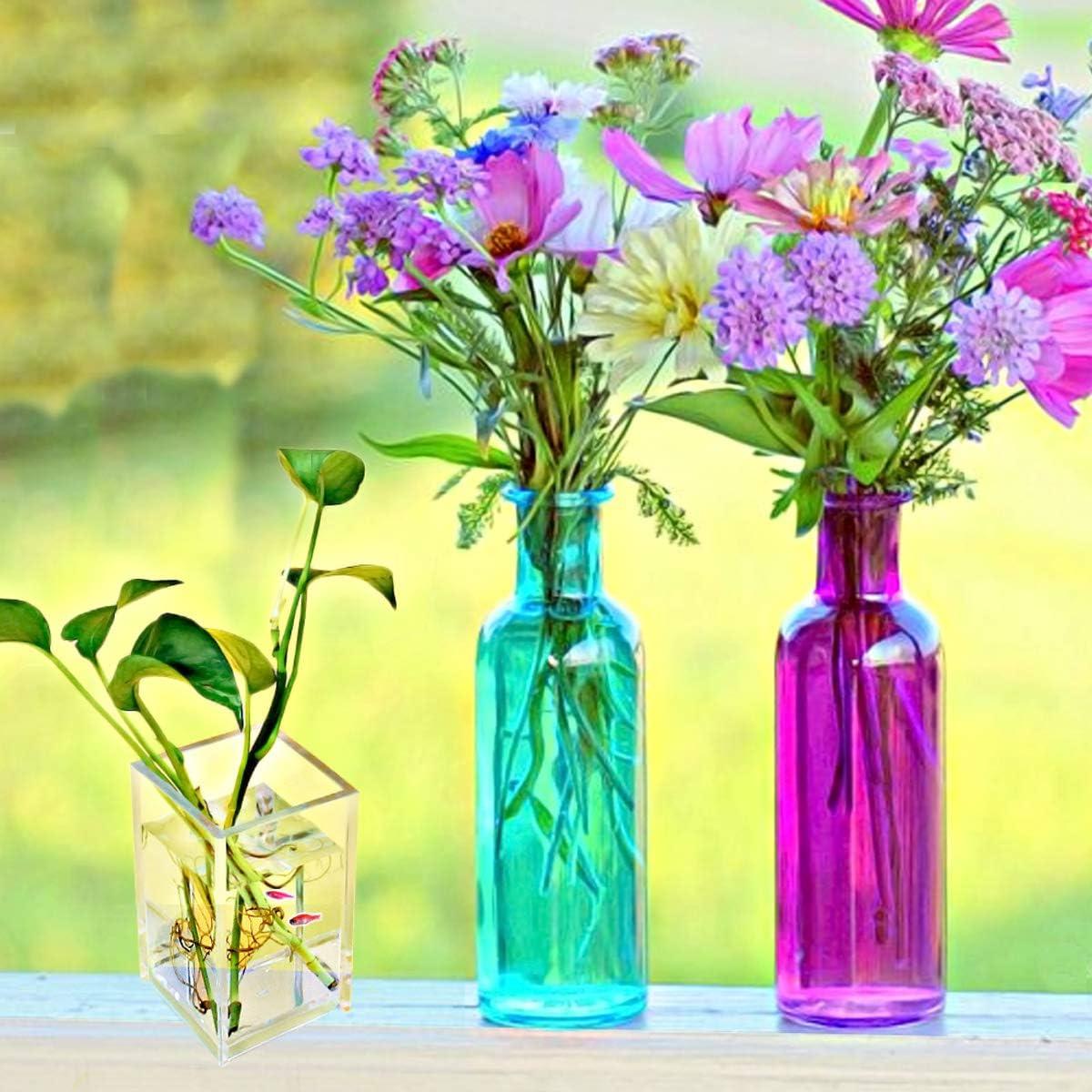 Pen Holder, 2 Pack Acrylic Pencil Holder for Desk, Pen Cups for Desk Supplies Holders, Clear Pencil Organizer for Toothbrush, Straw, Makeup Brush Holder, Home Office Desk Accessories