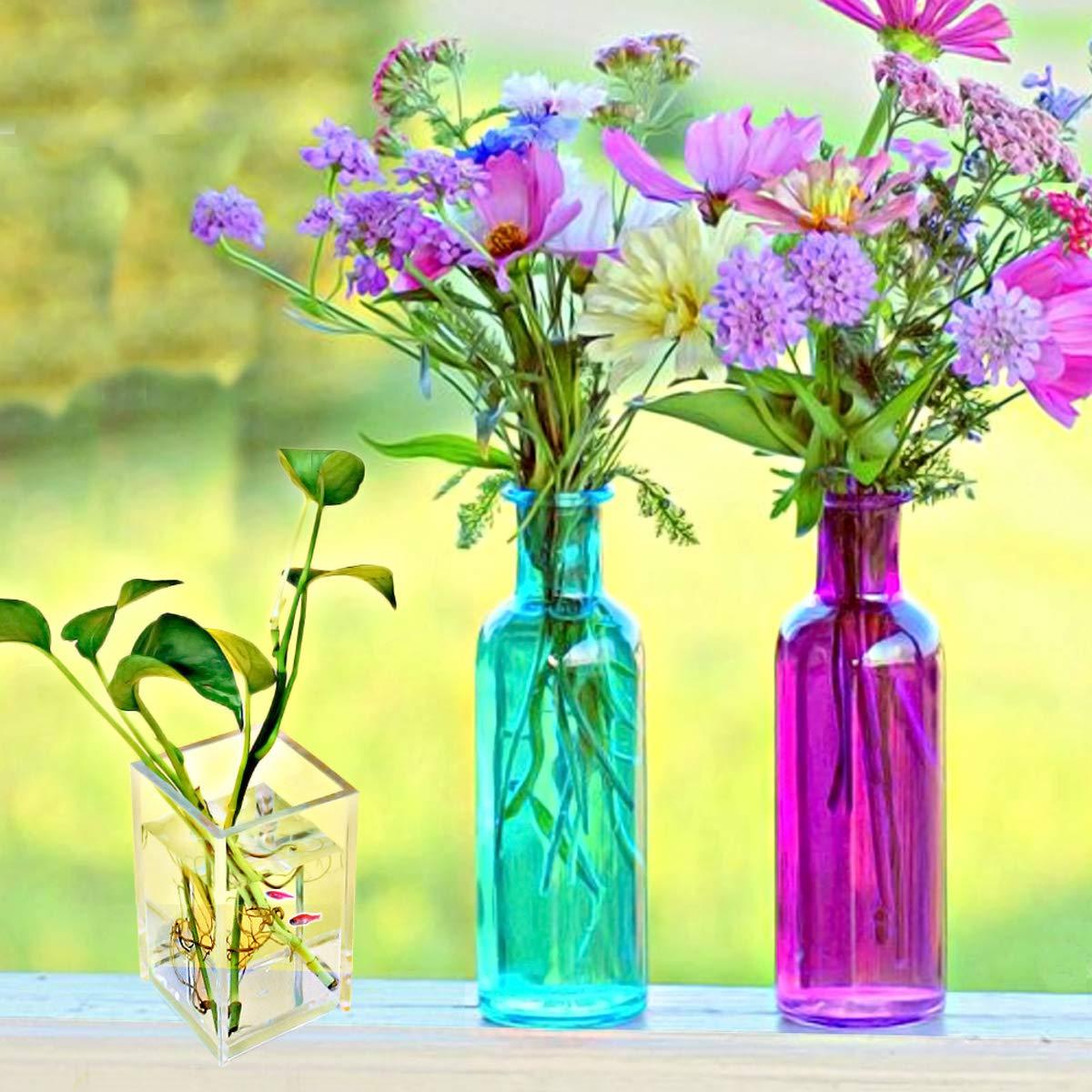 Pen Holder, 2 Pack Acrylic Pencil Holder for Desk, Pen Cups for Desk Supplies Holders, Clear Pencil Organizer for Toothbrush, Straw, Makeup Brush Holder, Home Office Desk Accessories