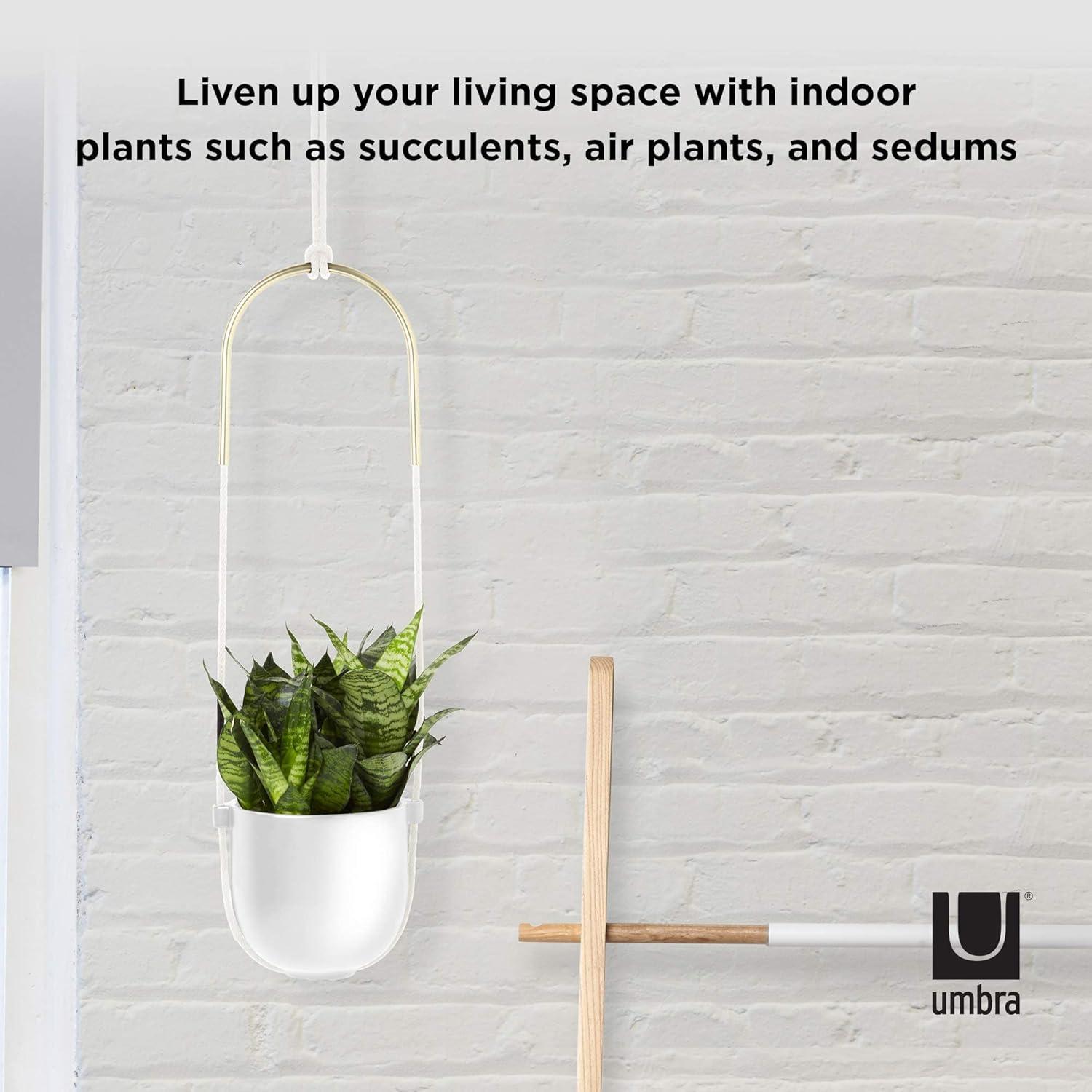 Bolo Ceramic Hanging Planter