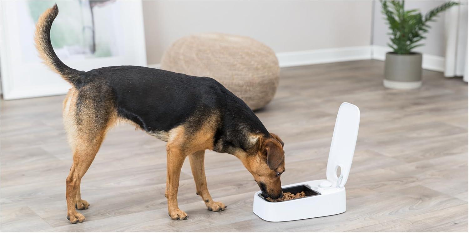 TRIXIE TRIXIE TX1 Automatic Food Dispenser, Single Serving, 48-Hour Timer, Battery Operated