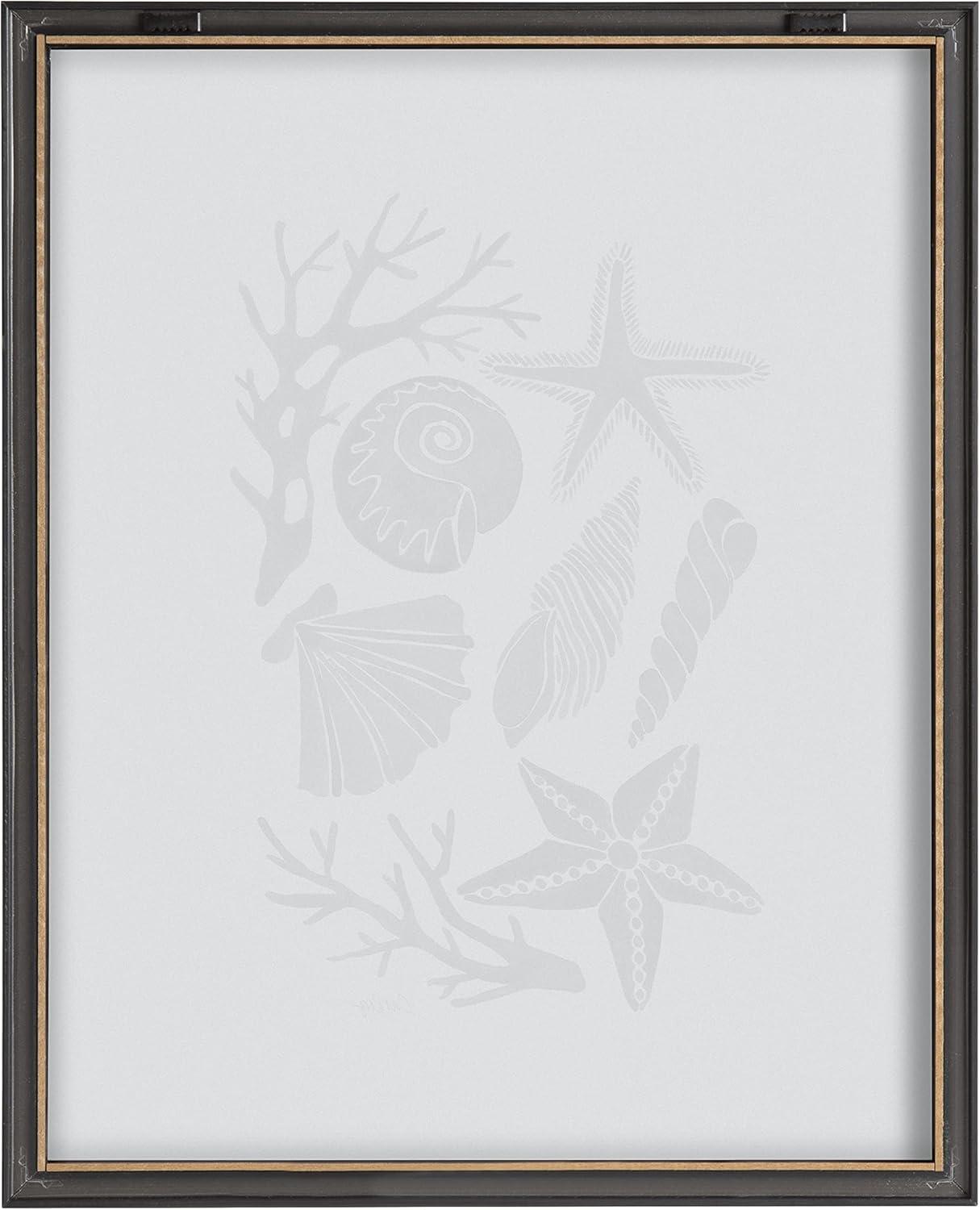 16" x 20" Blake Seashells Black by Cat Coquillette Framed Printed Glass Gray - Kate & Laurel All Things Decor