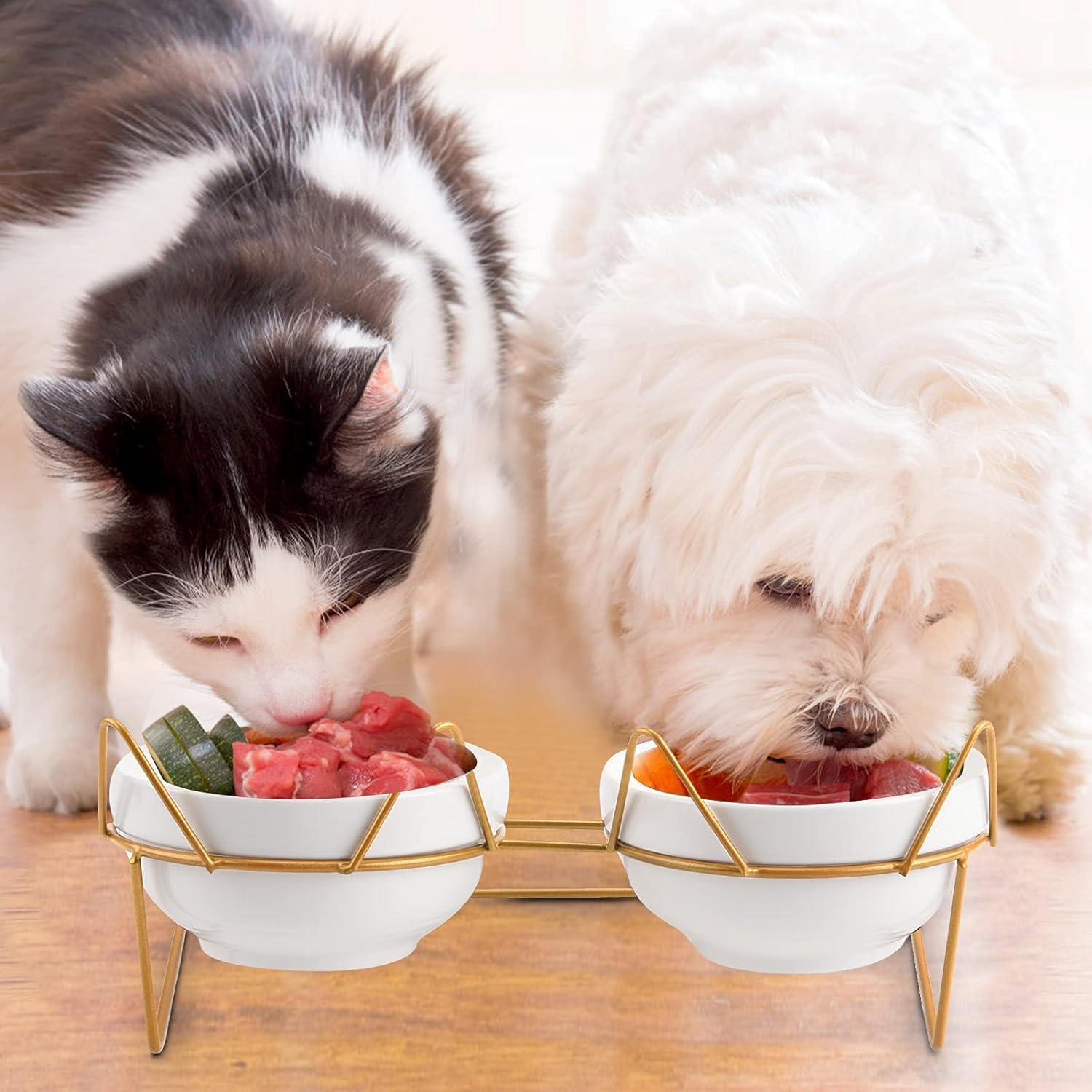 Double White Ceramic Pet Bowls with Gold Tilted Stand