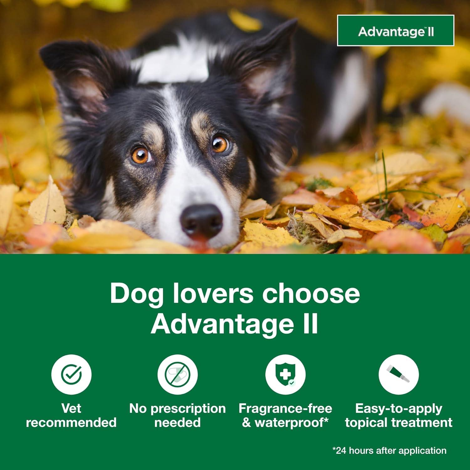 Advantage II Vet-Recommended Flea Prevention for Large Dogs 21-55 lbs, 4-Monthly Treatments