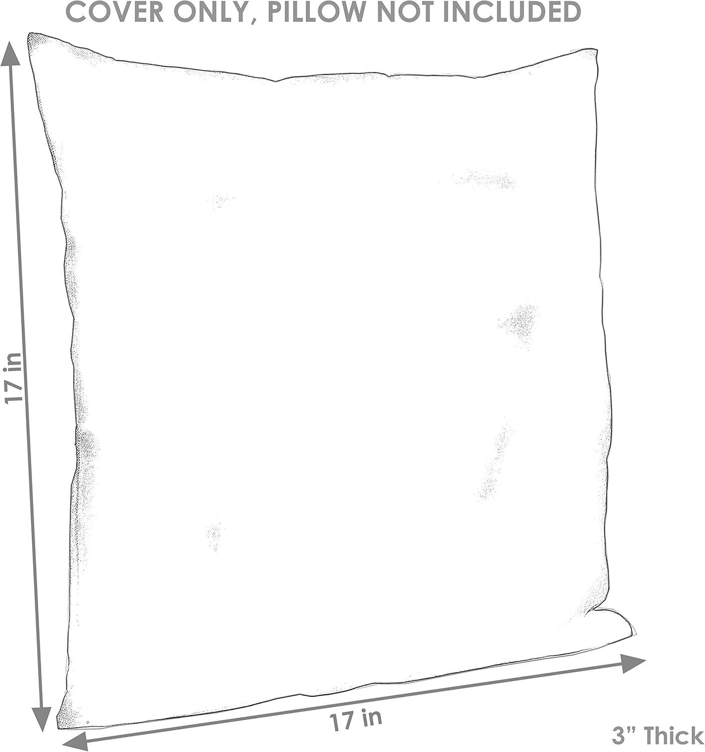 SunnyDaze Decor Indoor/Outdoor Pillow Cover (Set of 2)