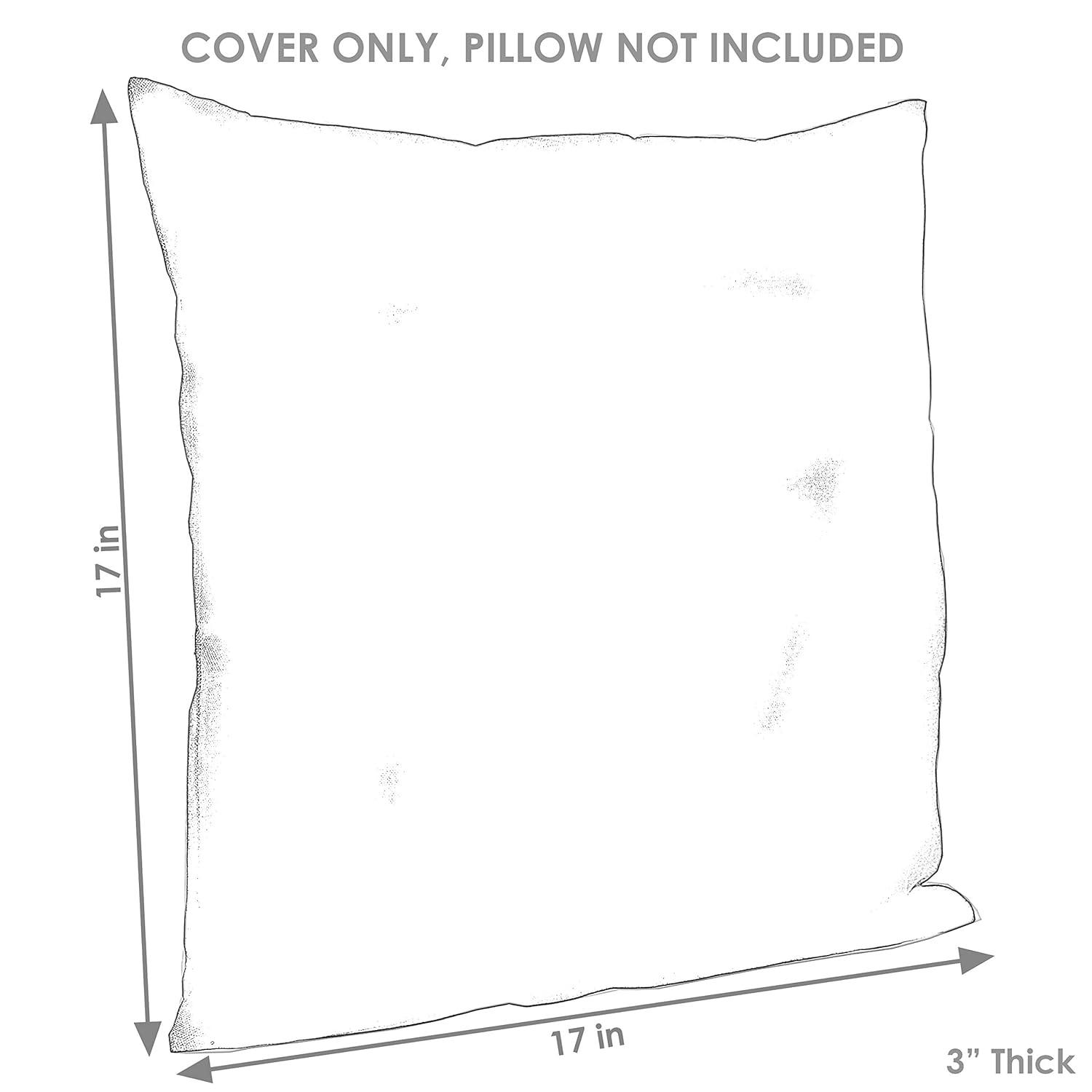 SunnyDaze Decor Indoor/Outdoor Pillow Cover (Set of 2)