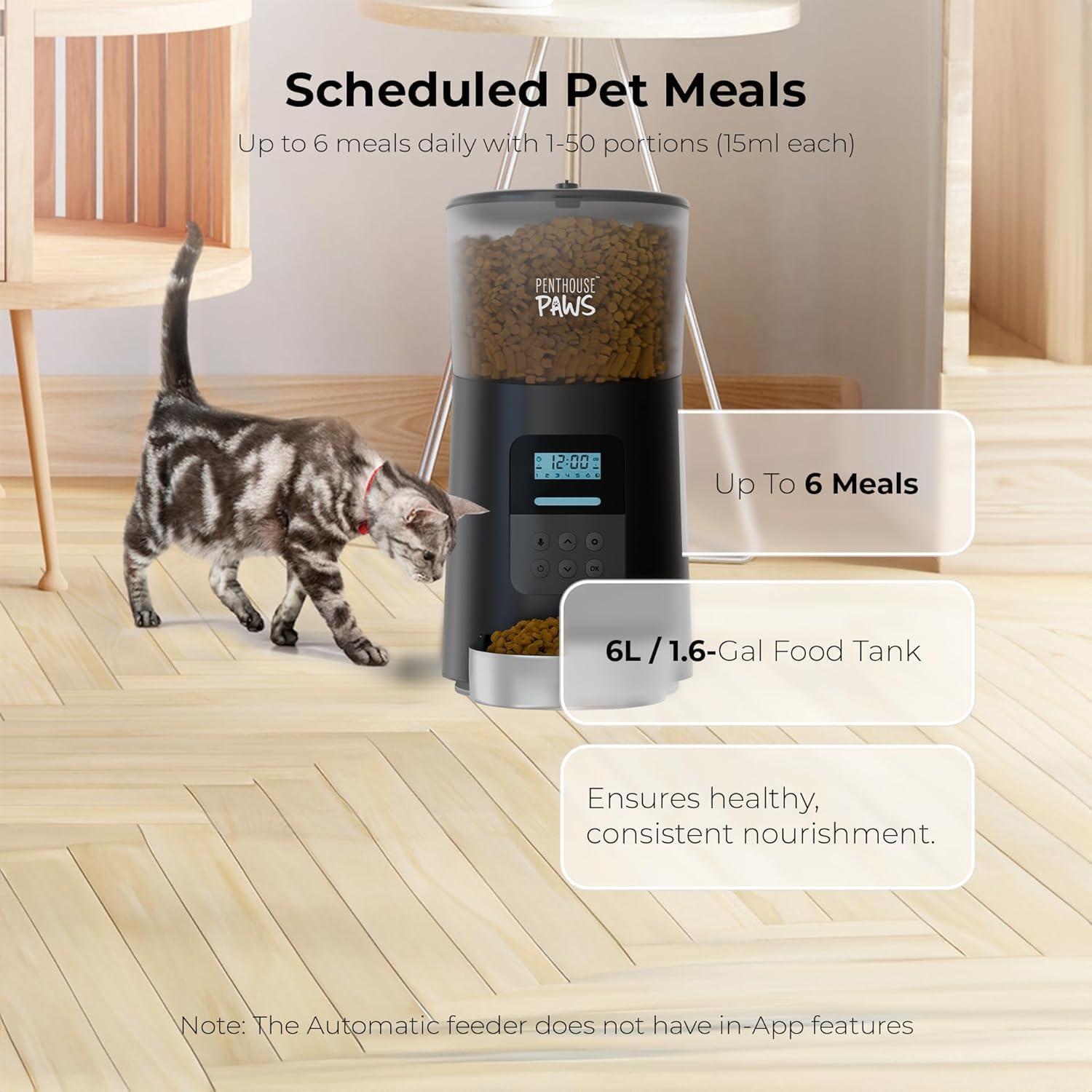 Penthouse Paws Black Stainless Steel Automatic Cat Feeder