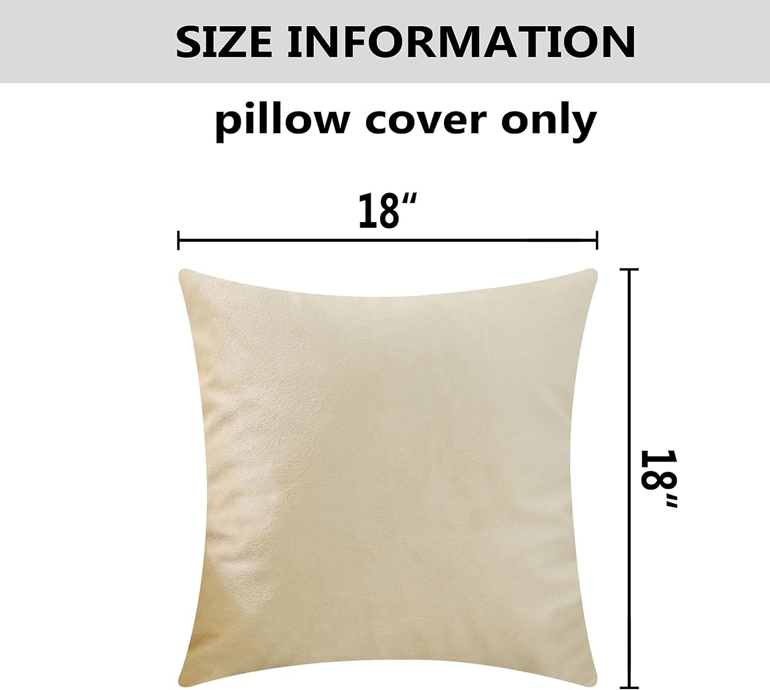 Set of 2 Beige Velvet 18" x 18" Throw Pillow Covers