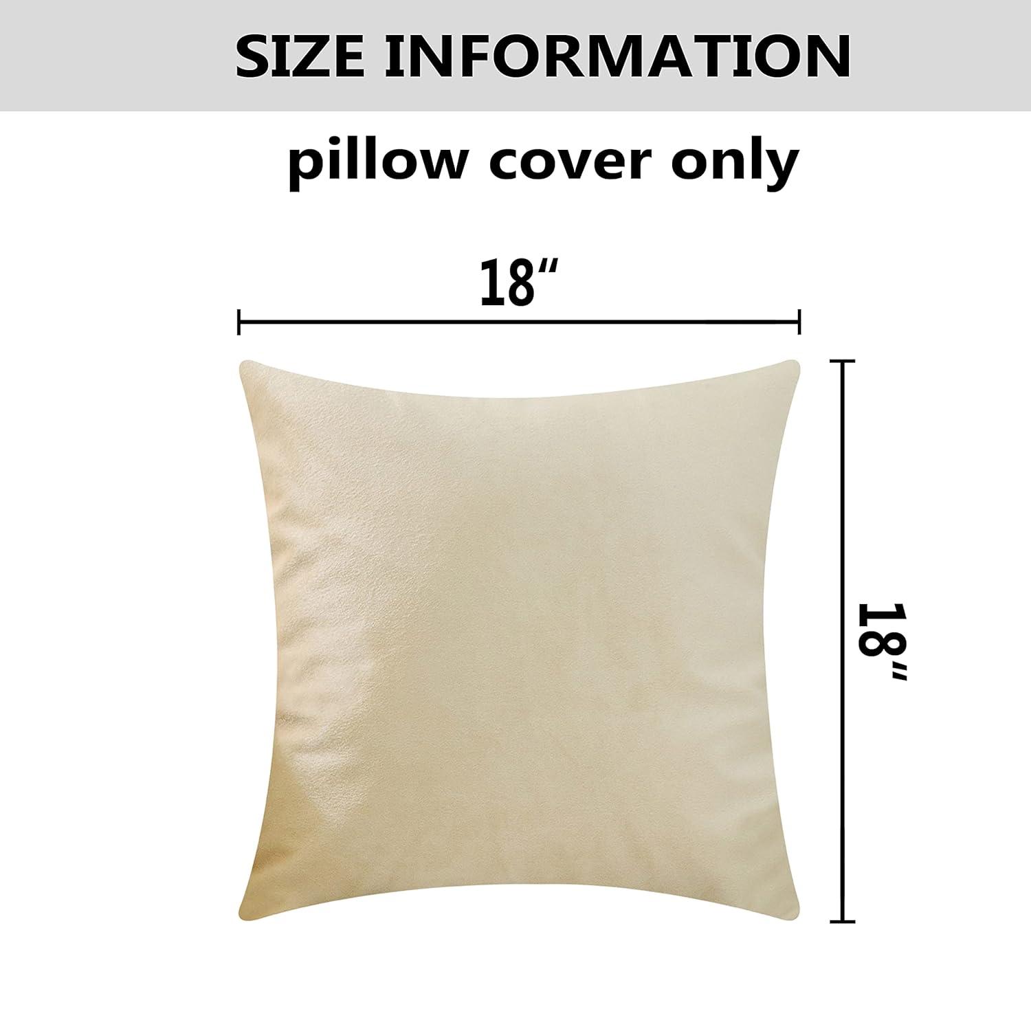 Toptie Set of 2 Velvet Pillow Covers 18" x 18", Throw Cushion Case for Sofa Bedroom (Beige)