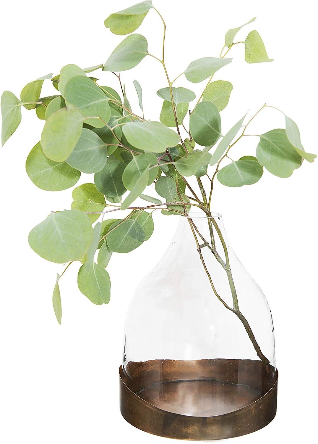 10" x 7" Glass Cloche with Metal Antique Copper Finish Trays Brass - Storied Home: Vintage Display Dome, Elegant Terrarium