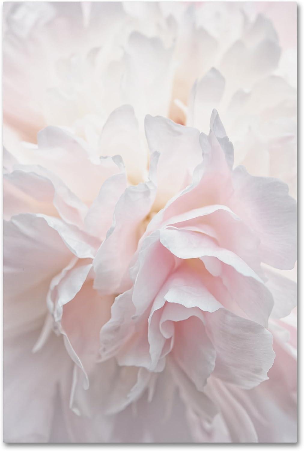 Trademark Fine Art - Cora Niele Pink Peony Petals IV Matted Framed Art