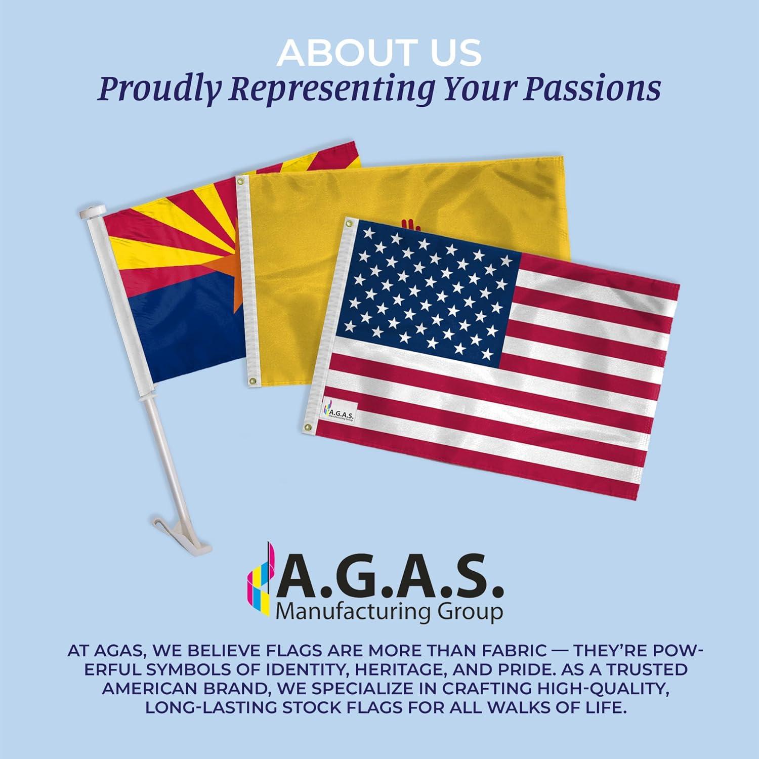 AGAS New Hampshire State Flag 4x6 Ft - Double Sided Reverse Print On Back 200D Nylon - Brass Grommets Stitched Edges Fade Proof Sharp Vivid Colors - State of New Hampshire Flag Banner