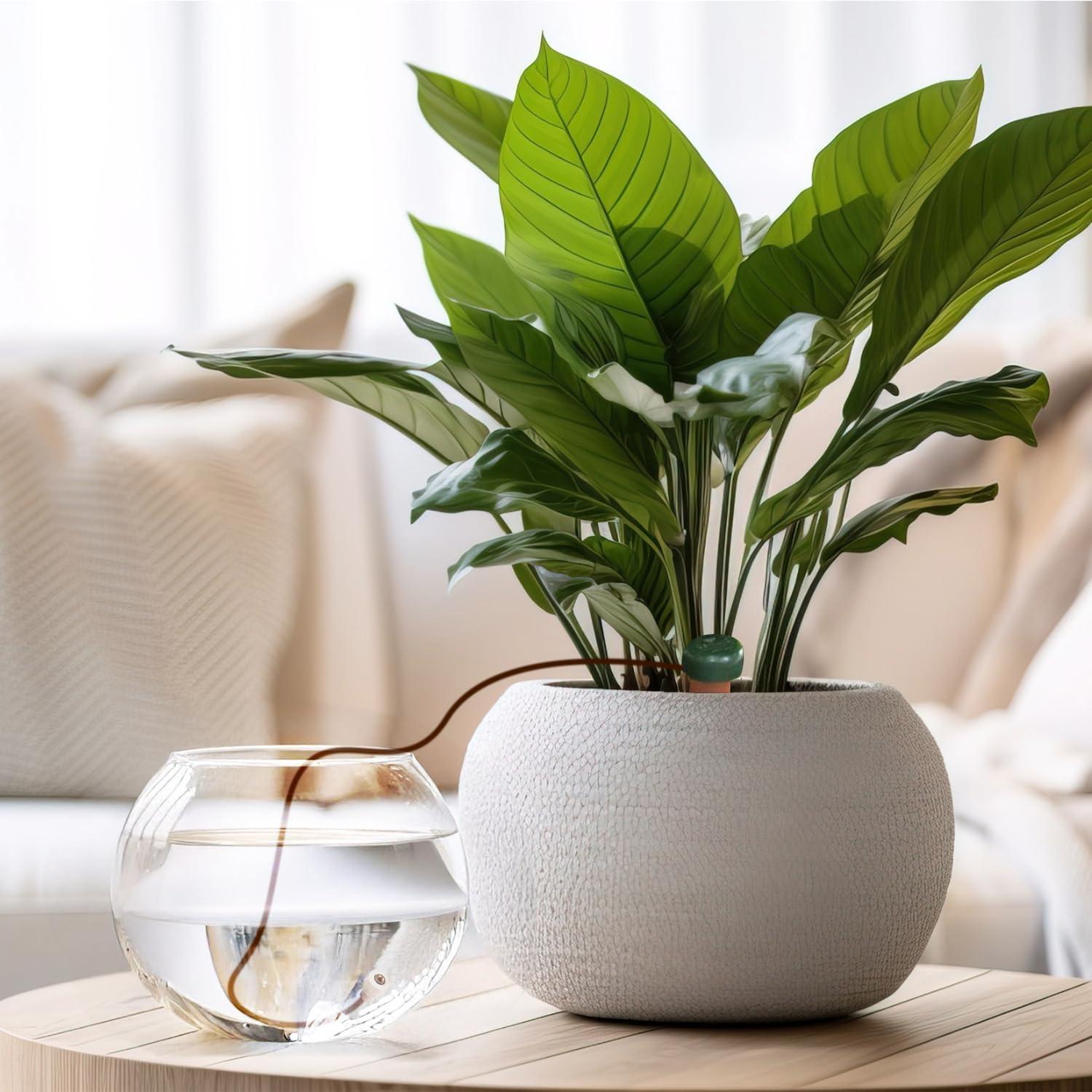 Blumat Classic Plant Watering Stakes | for Everyday Home or Vacation Use | Indoor or Outdoor Water Spikes for Plants | Automatic Drip Irrigation (3 Pack)