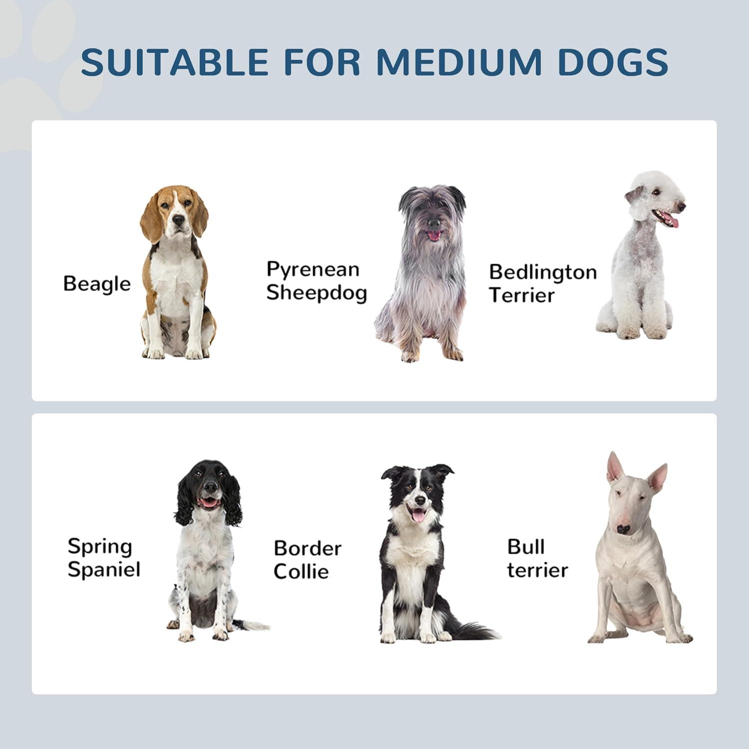 PawHut 22" Double Stainless Steel Heavy Duty Dog Food Bowl Elevated Pet Feeding Station for Medium Sized Dogs