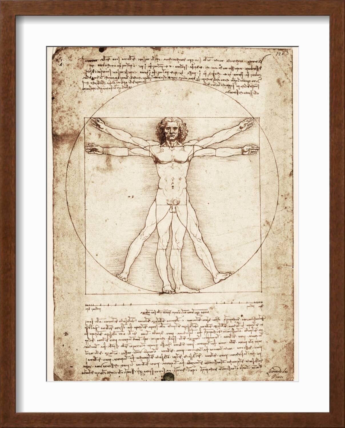 Art.com Vitruvian Man Art Print by Leonardo da Vinci, 12" x 16"
