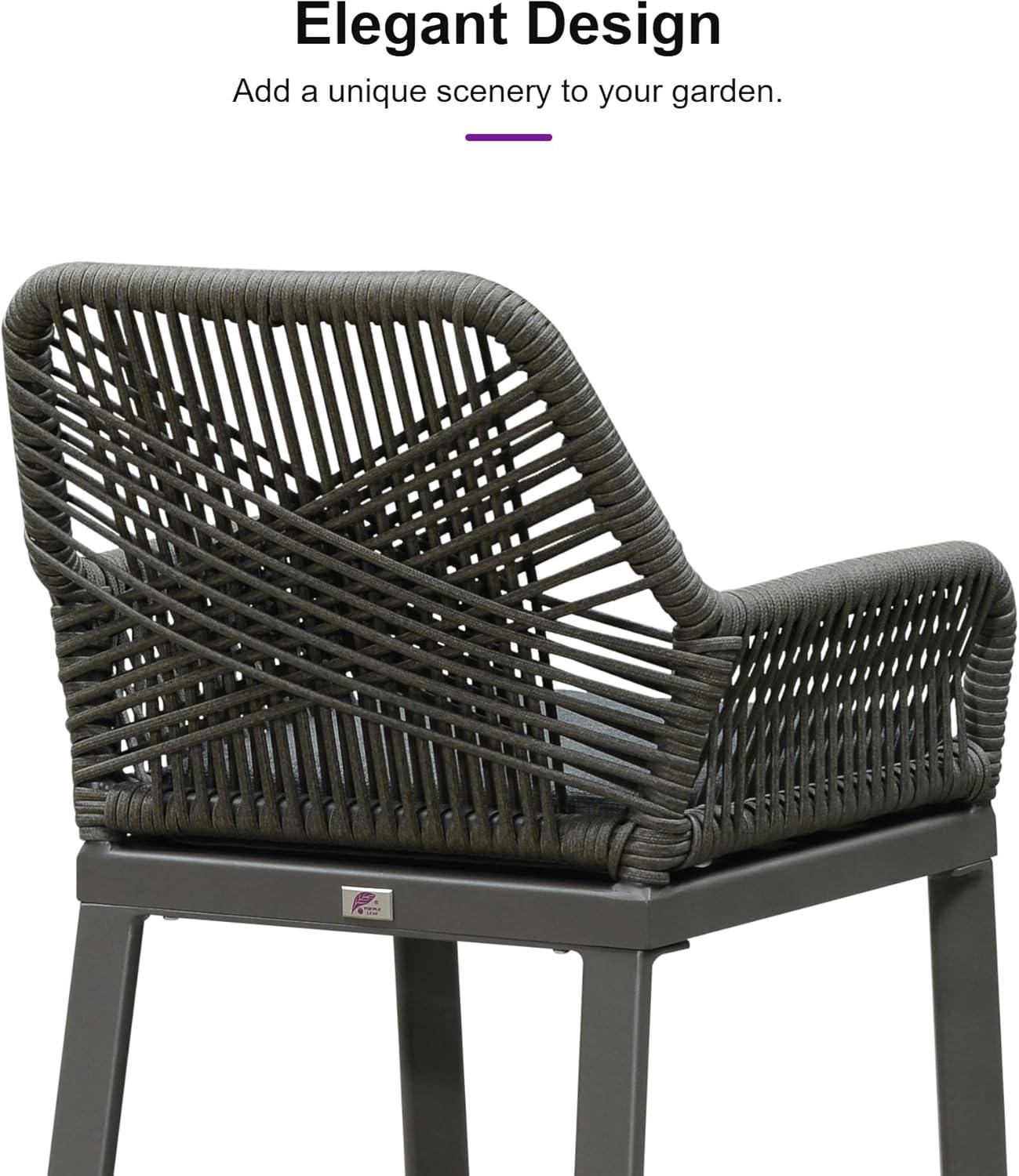 PURPLE LEAF Outdoor Wicker 29" Bar Stools Set of 2, Boho Patio Bar Height Chair with Cushion and Back for Outdoor and Indoor, Garden, Patio, Smoke Grey