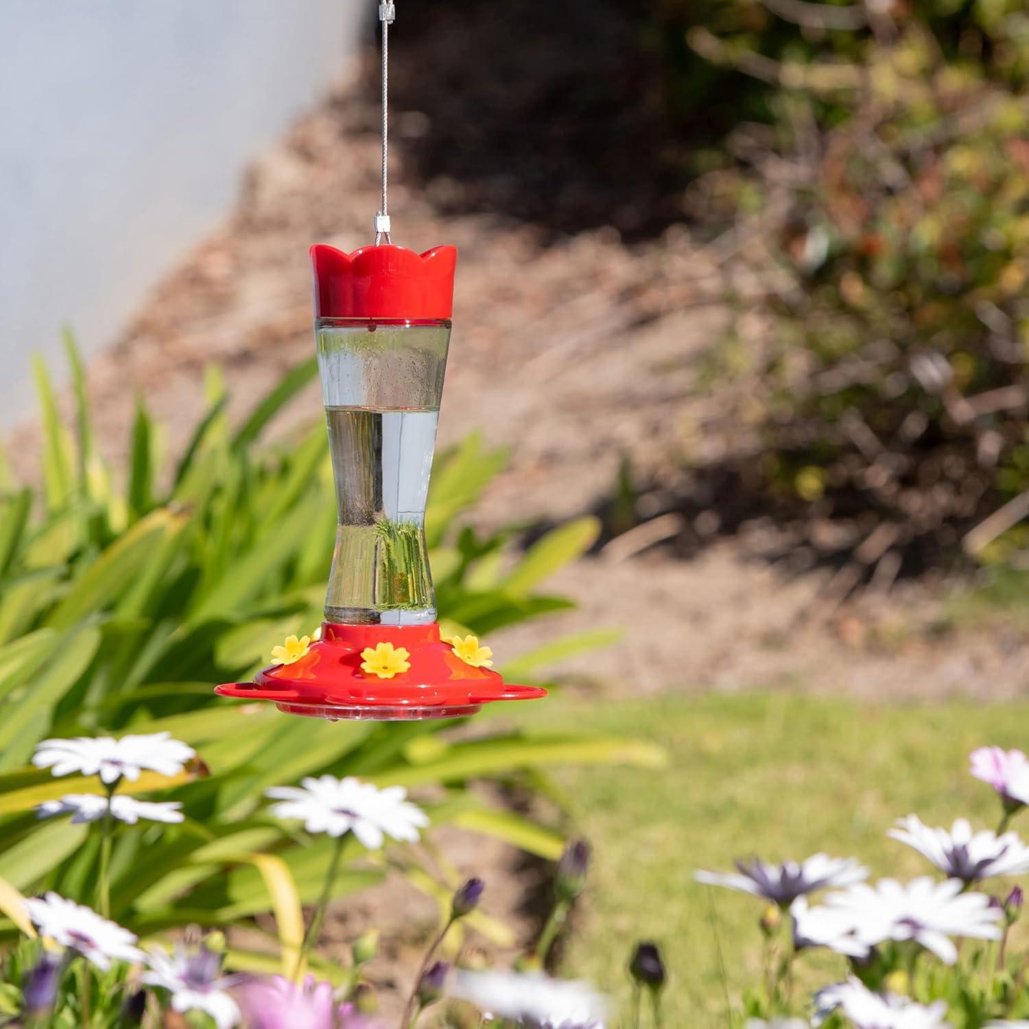 Red Glass Hanging Hummingbird Feeder with Ant Moat, 6" x 9"