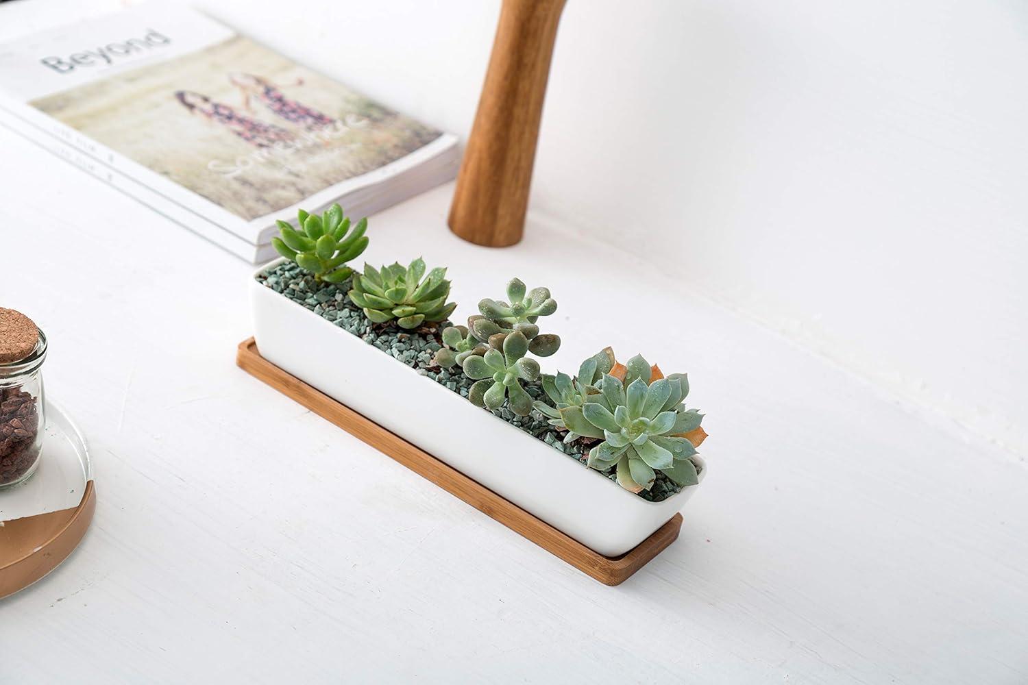 White Ceramic Rectangular Succulent Planter with Bamboo Saucer