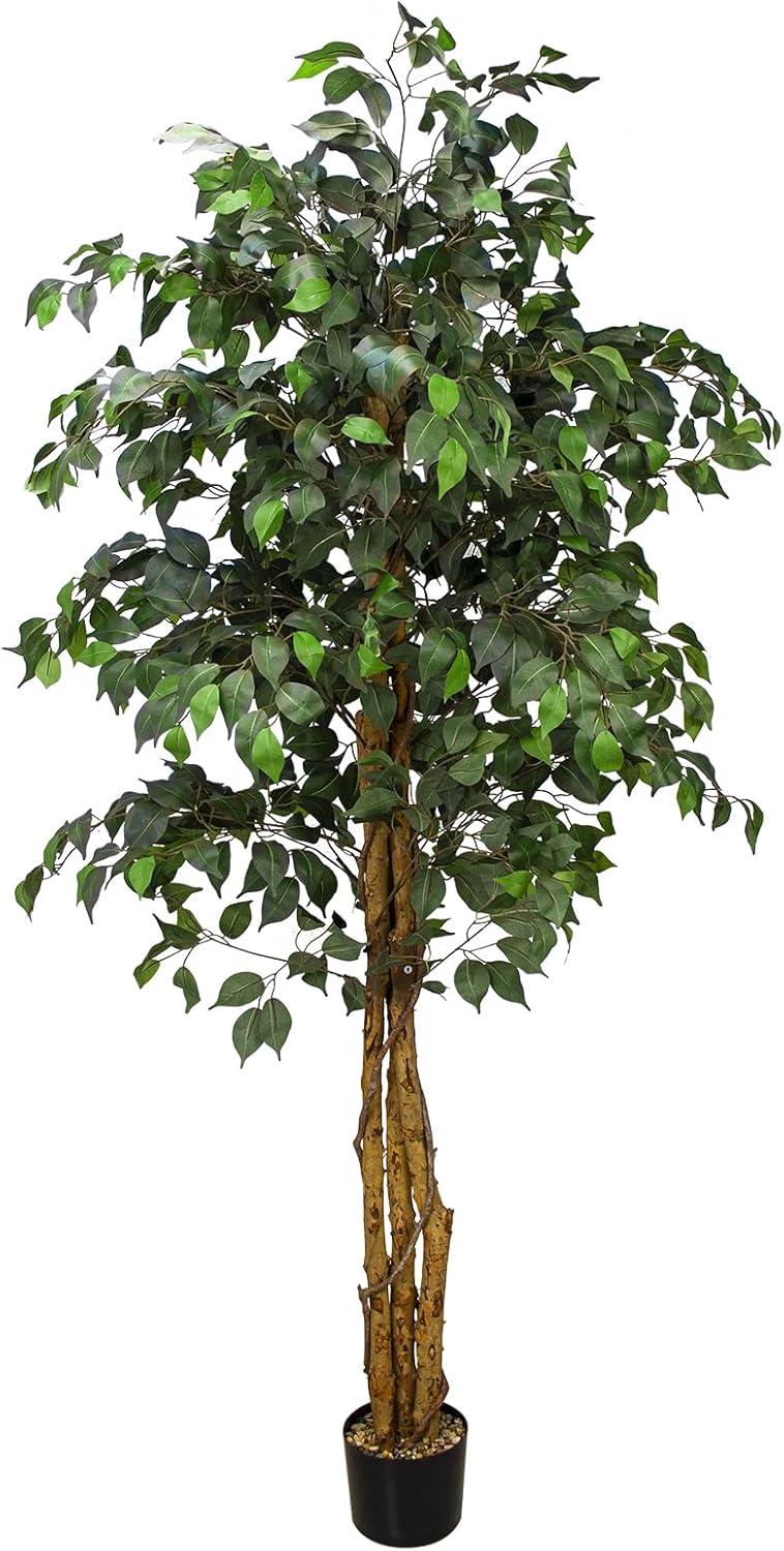 6.2ft Artificial Ficus Silk Tree with Plastic Pot for Indoor-Outdoor Decor