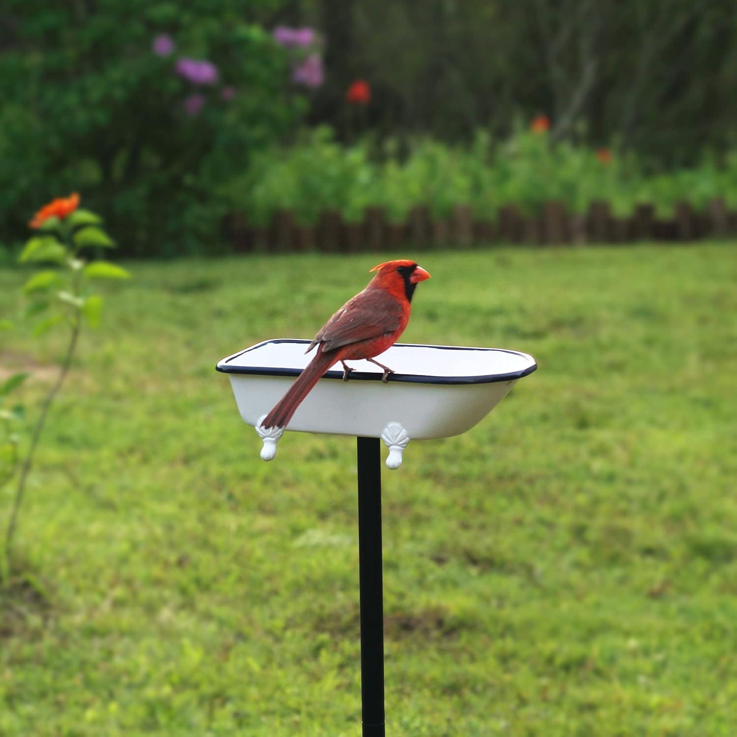 Splish-Splash Bird Bath in Brass with White