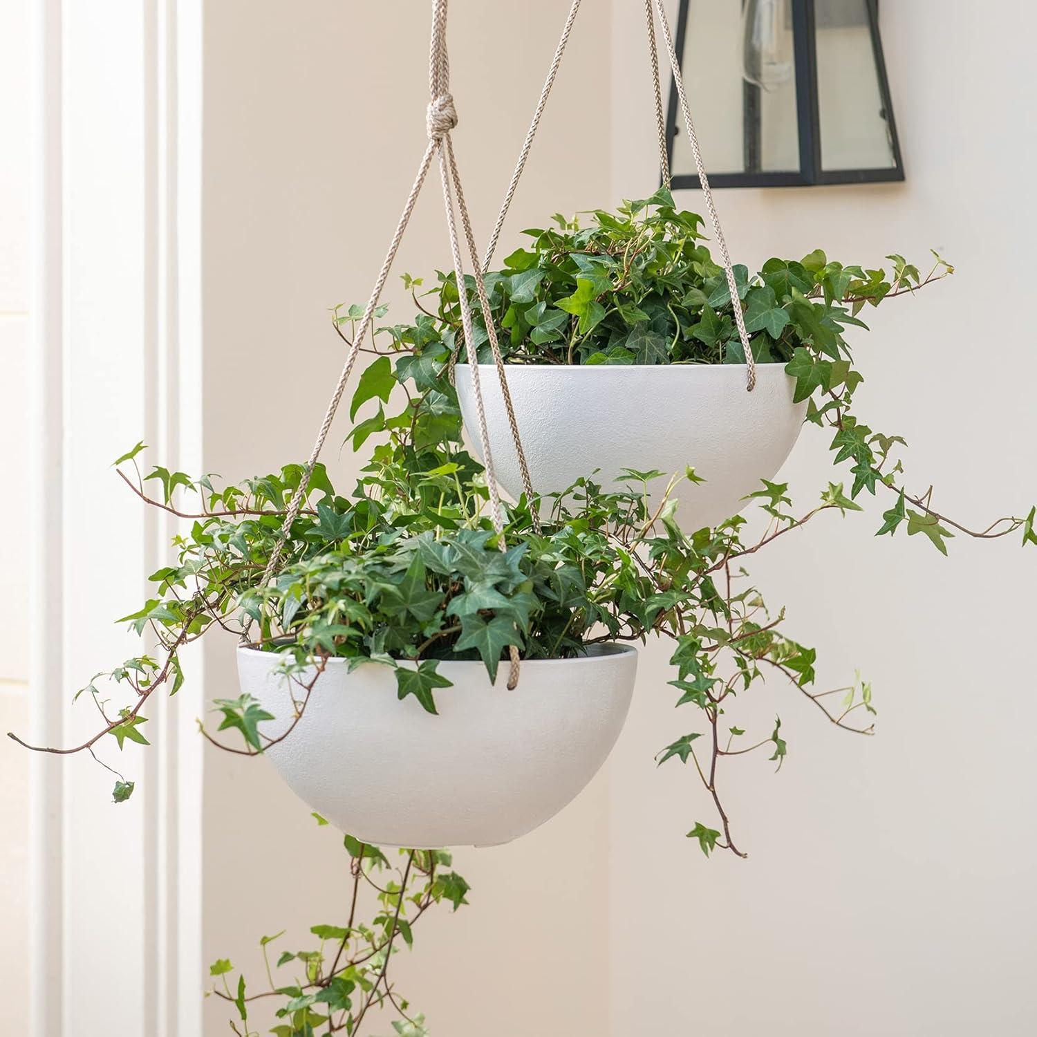 Boxdale Hanging Planter - Set of 2 (Set of 2)