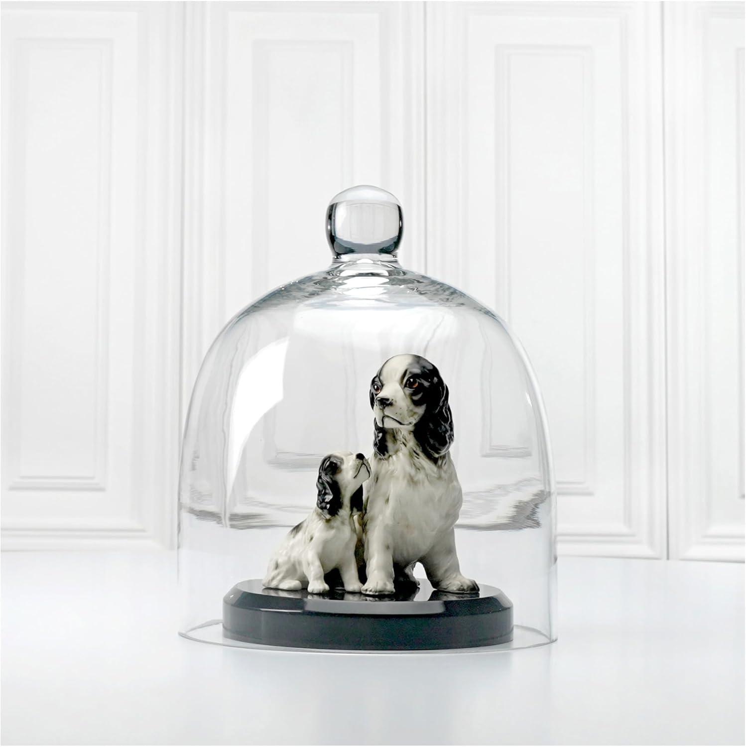 Plymor 7.875 inch x 9.5 inch Bell Jar Glass Display Dome Cloche (Interior size 7.5" x 7.5")