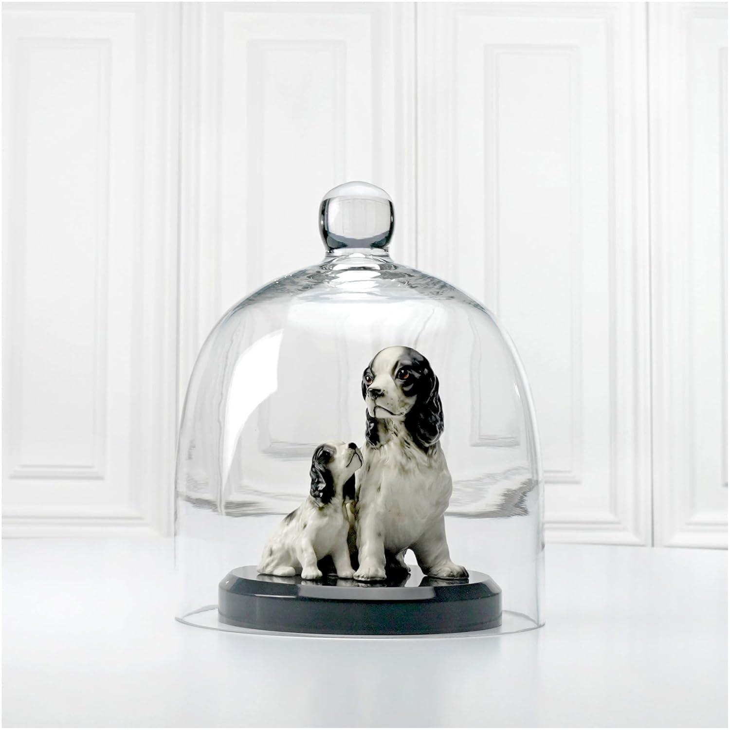 Plymor 7.875 inch x 9.5 inch Bell Jar Glass Display Dome Cloche (Interior size 7.5" x 7.5")