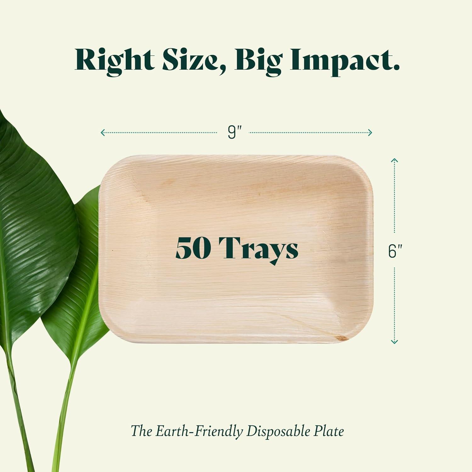 Chic Leaf Disposable Palm Leaf Trays, 17" x 12", 10 Pack, Compostable, Eco-Friendly Platters Charcuterie Board